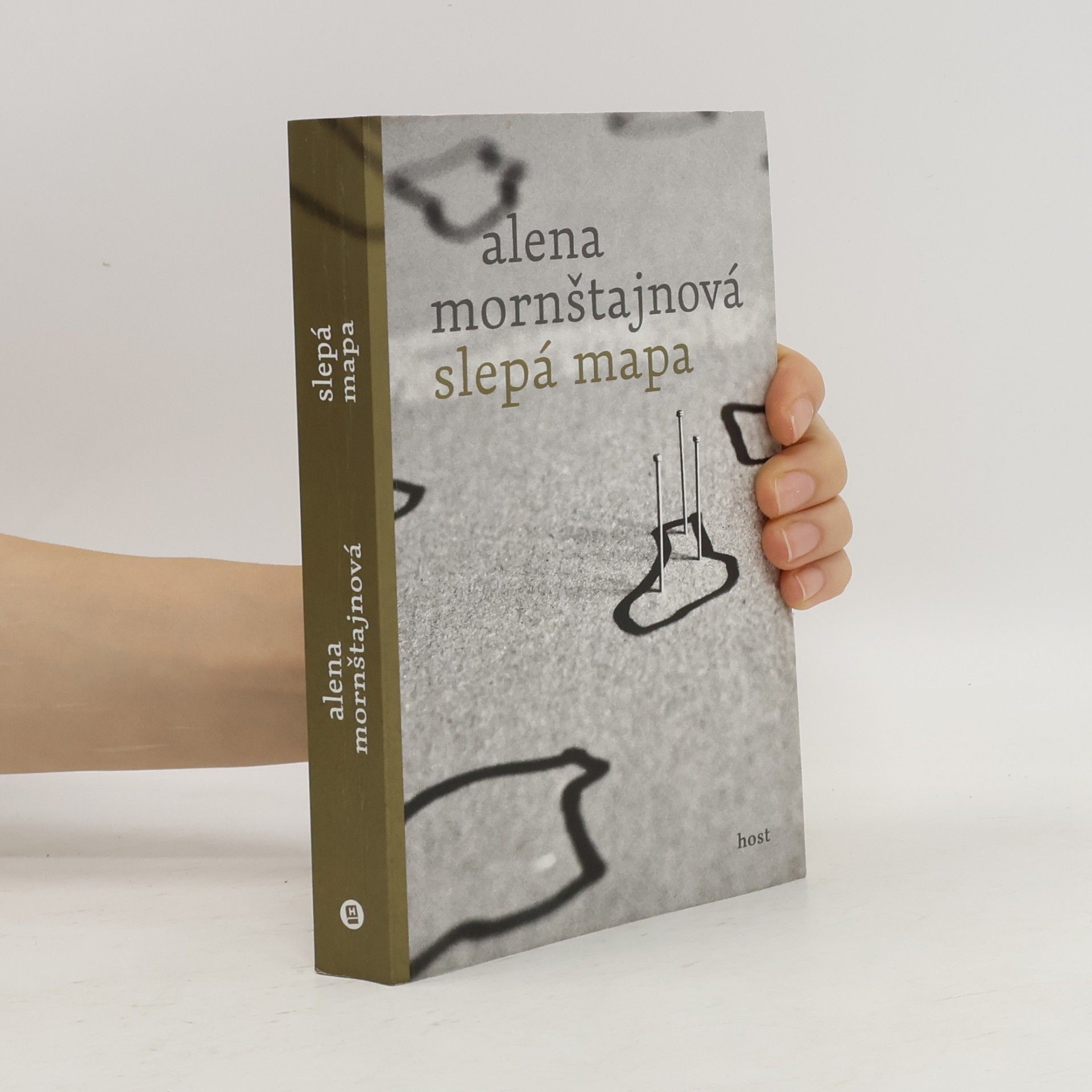 Alena Mornštajnová Slepá mapa