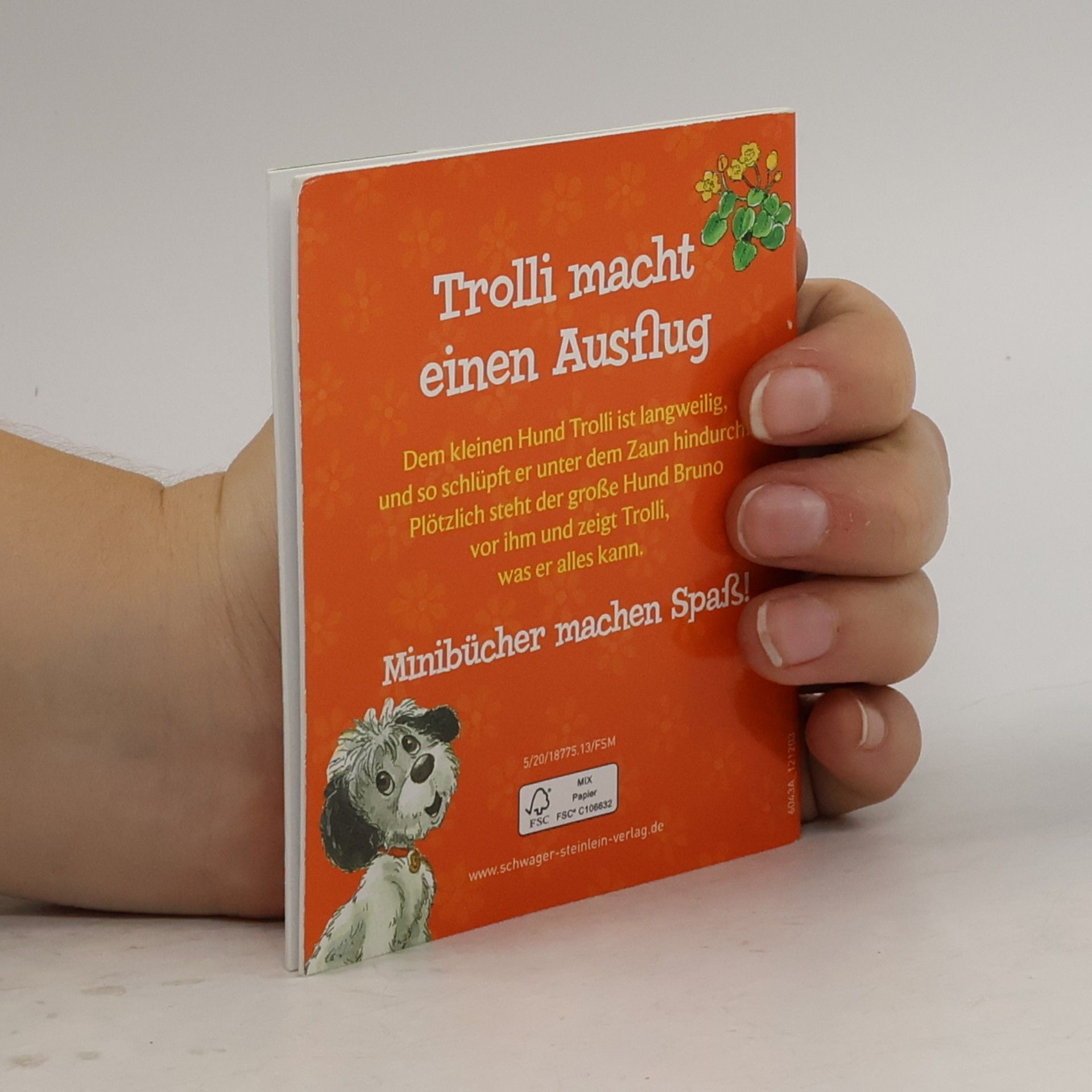 AA.VV. Trolli macht einen Ausflug