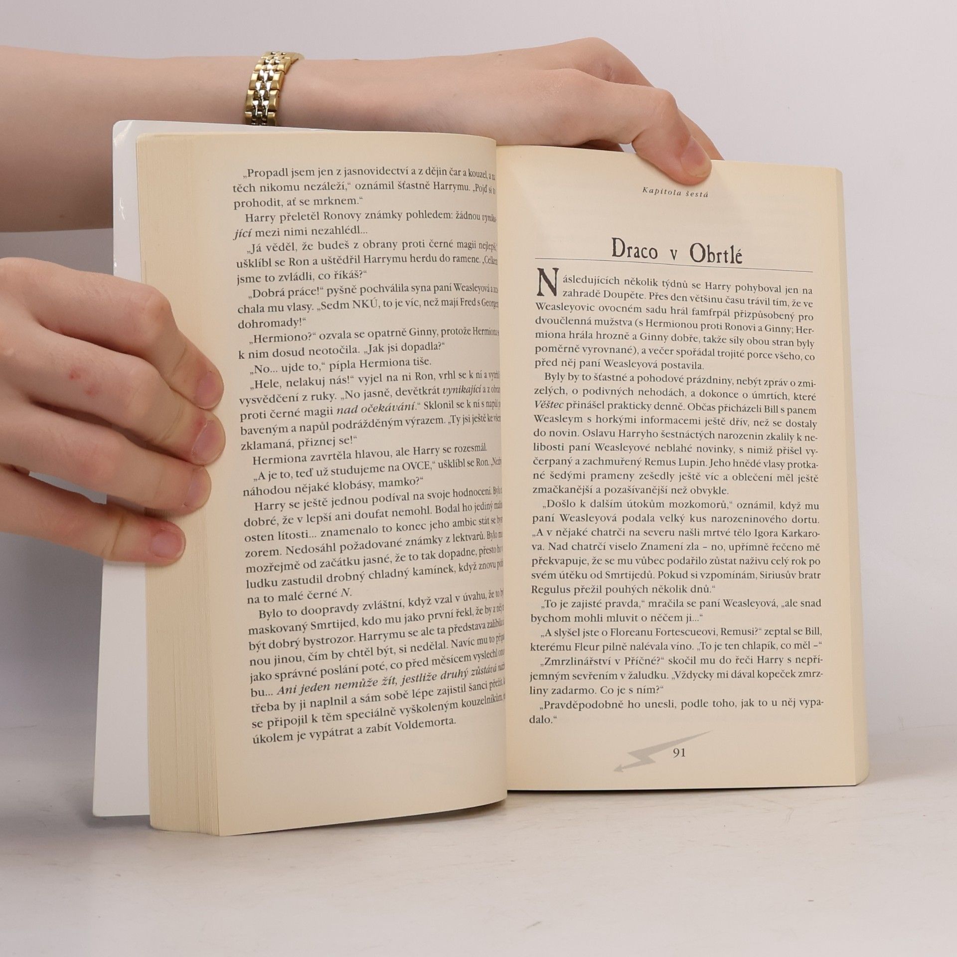 J. K. Rowling Harry Potter a princ dvojí krve