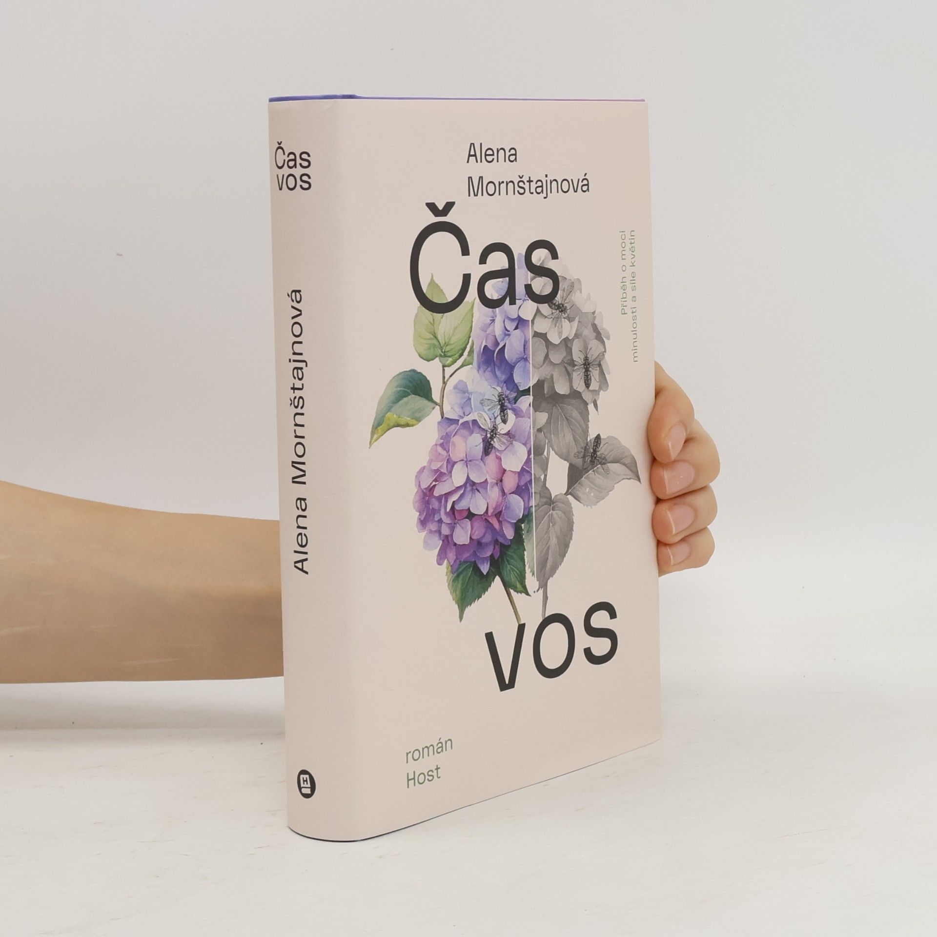 Alena Mornštajnová Čas vos