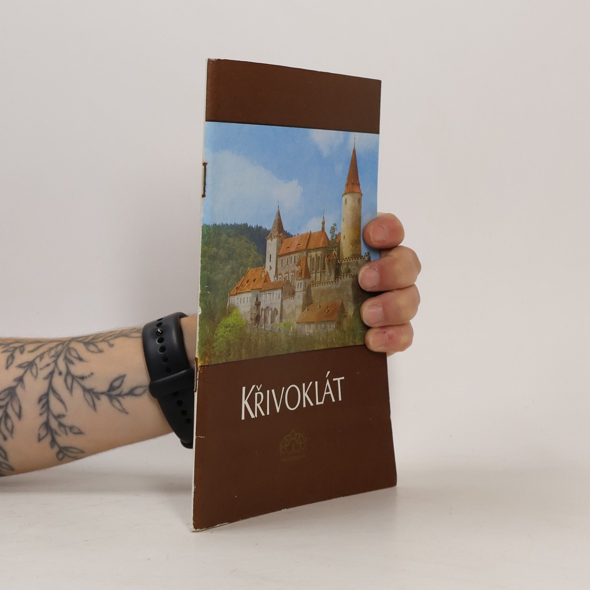 Kolektív autorov Křivoklát