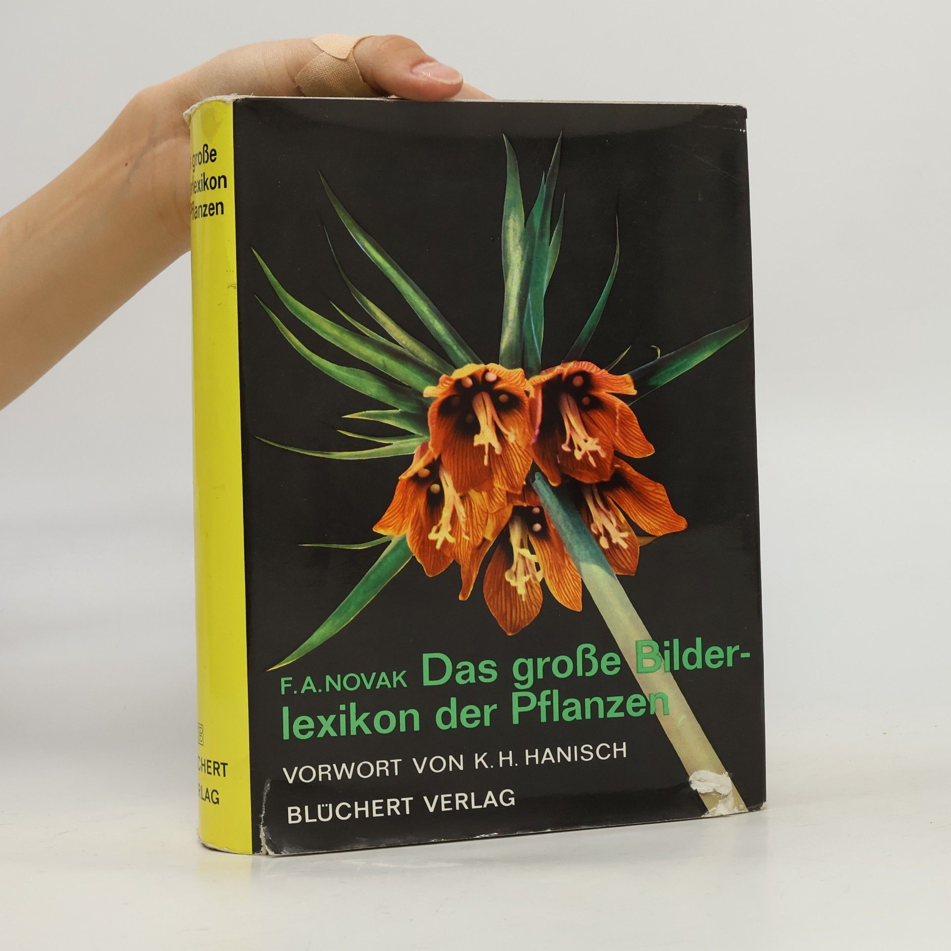 František Antonín Novák Das grosse Bilderlexikon der Pflanzen