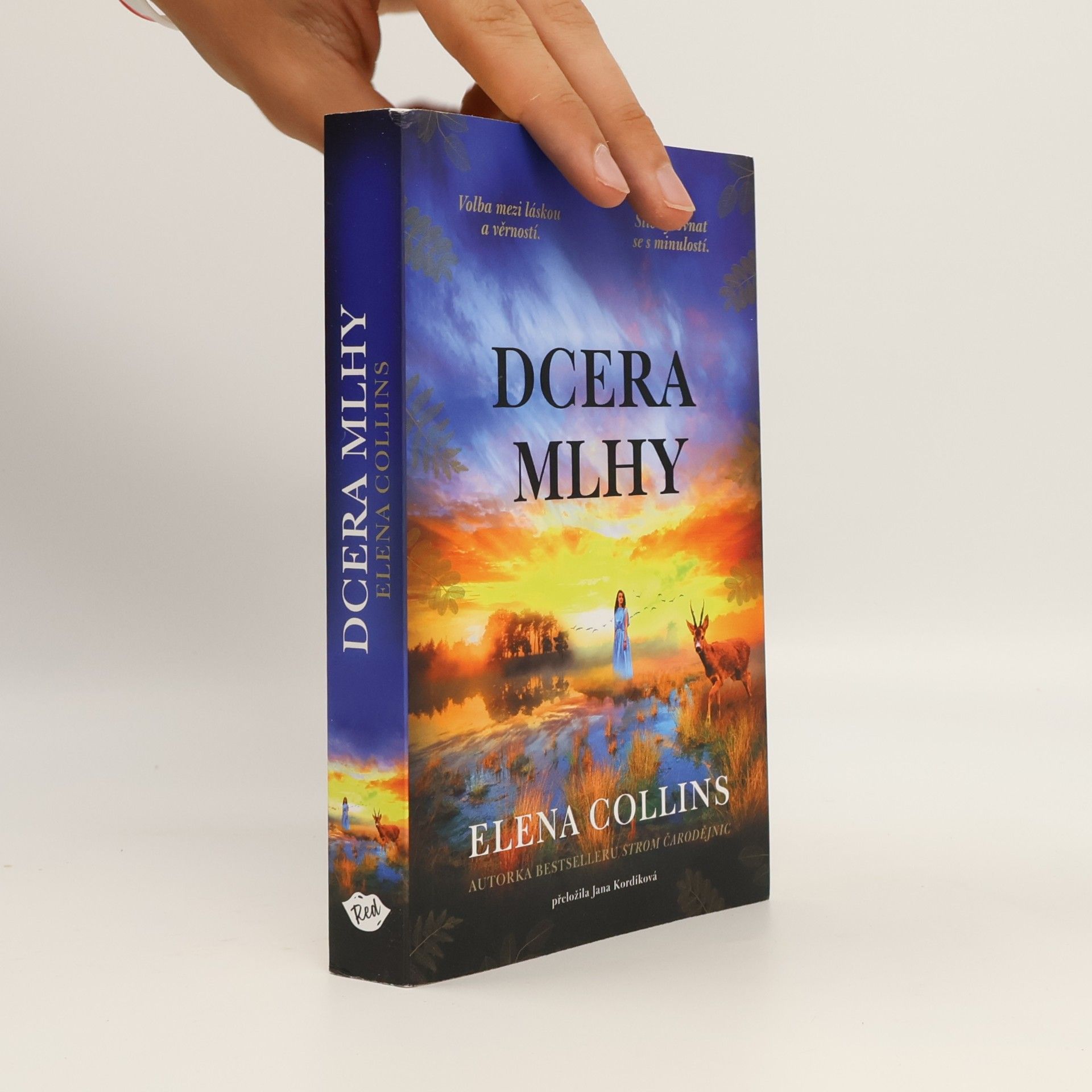 Dcera mlhy