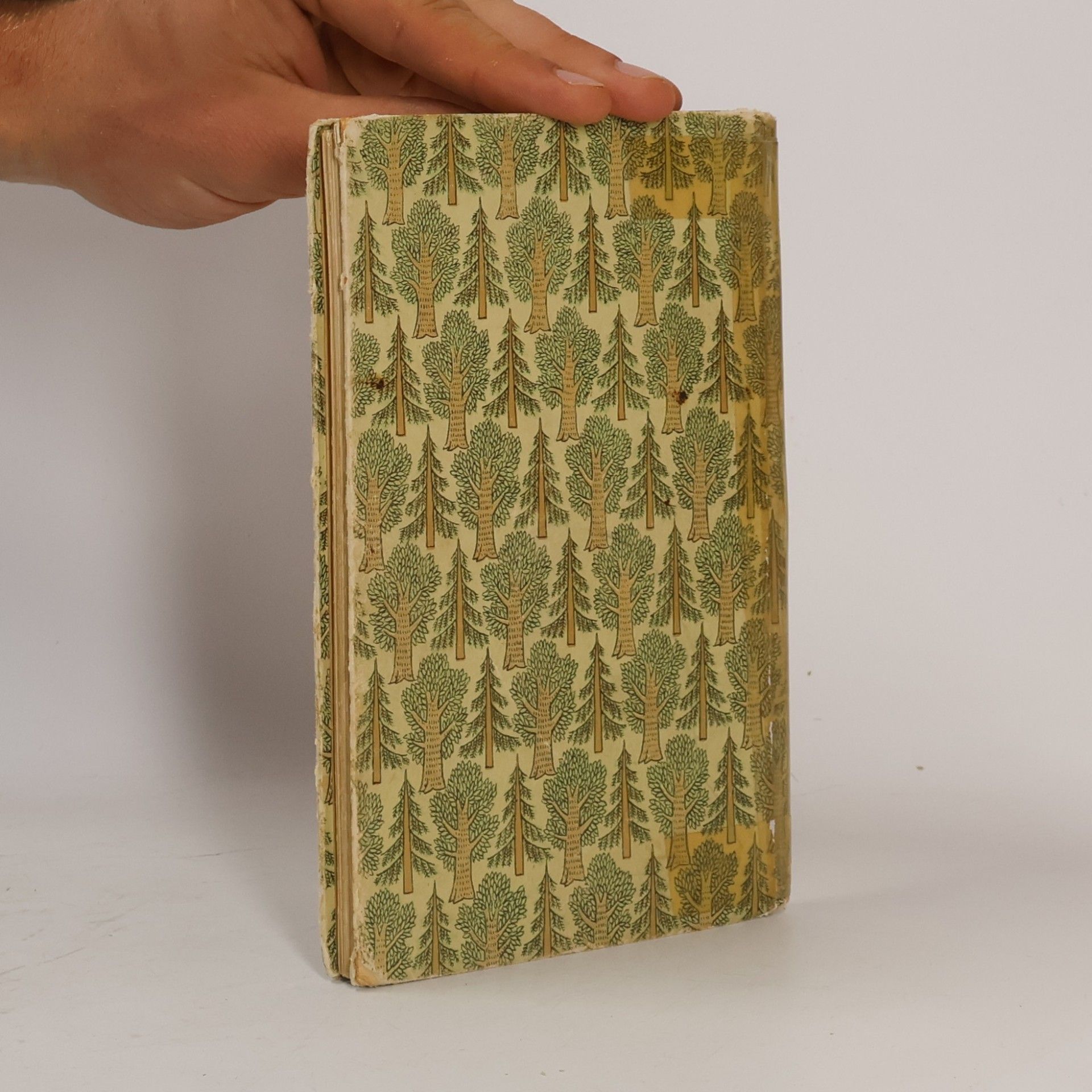 Friedrich Schnack Das kleine Baumbuch