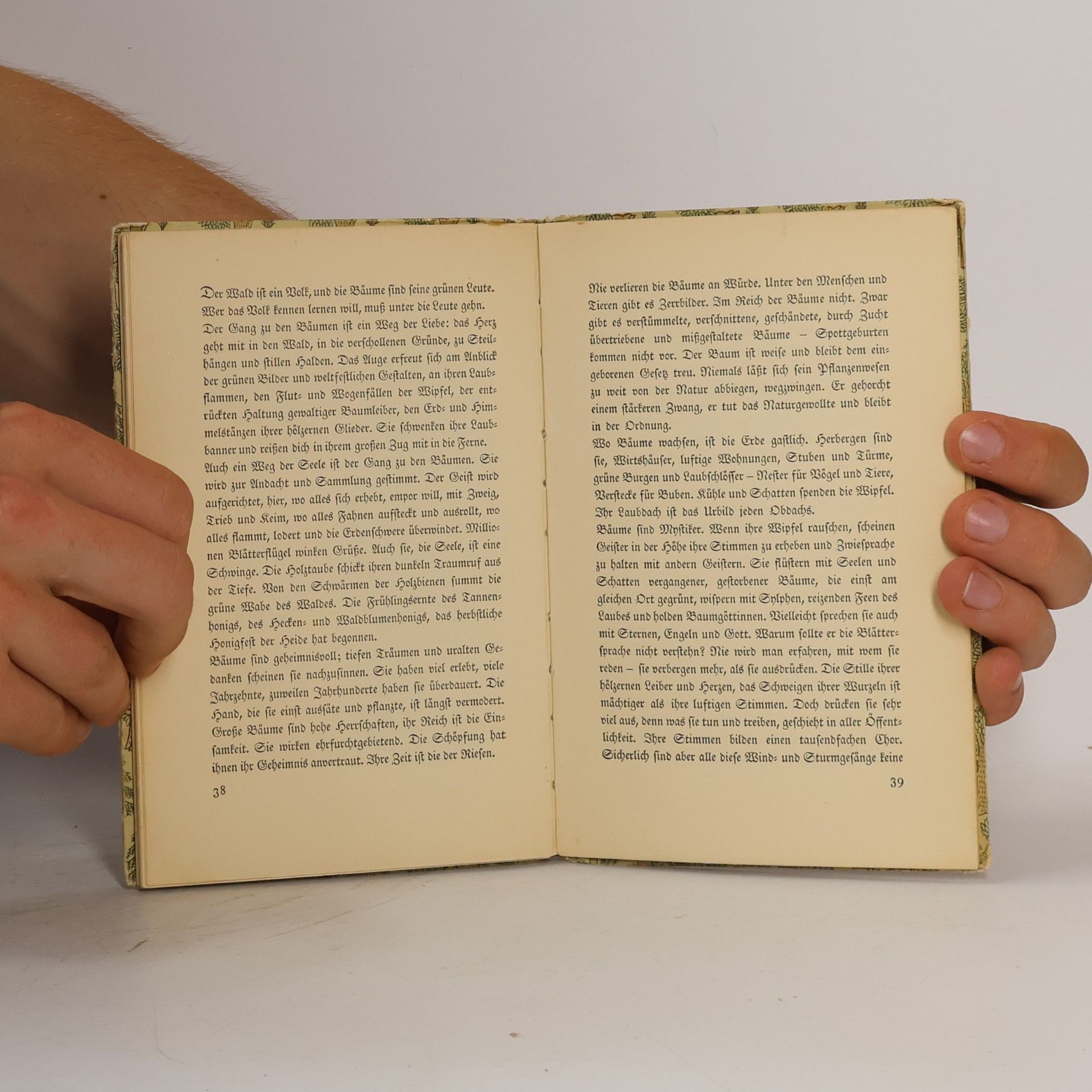 Friedrich Schnack Das kleine Baumbuch