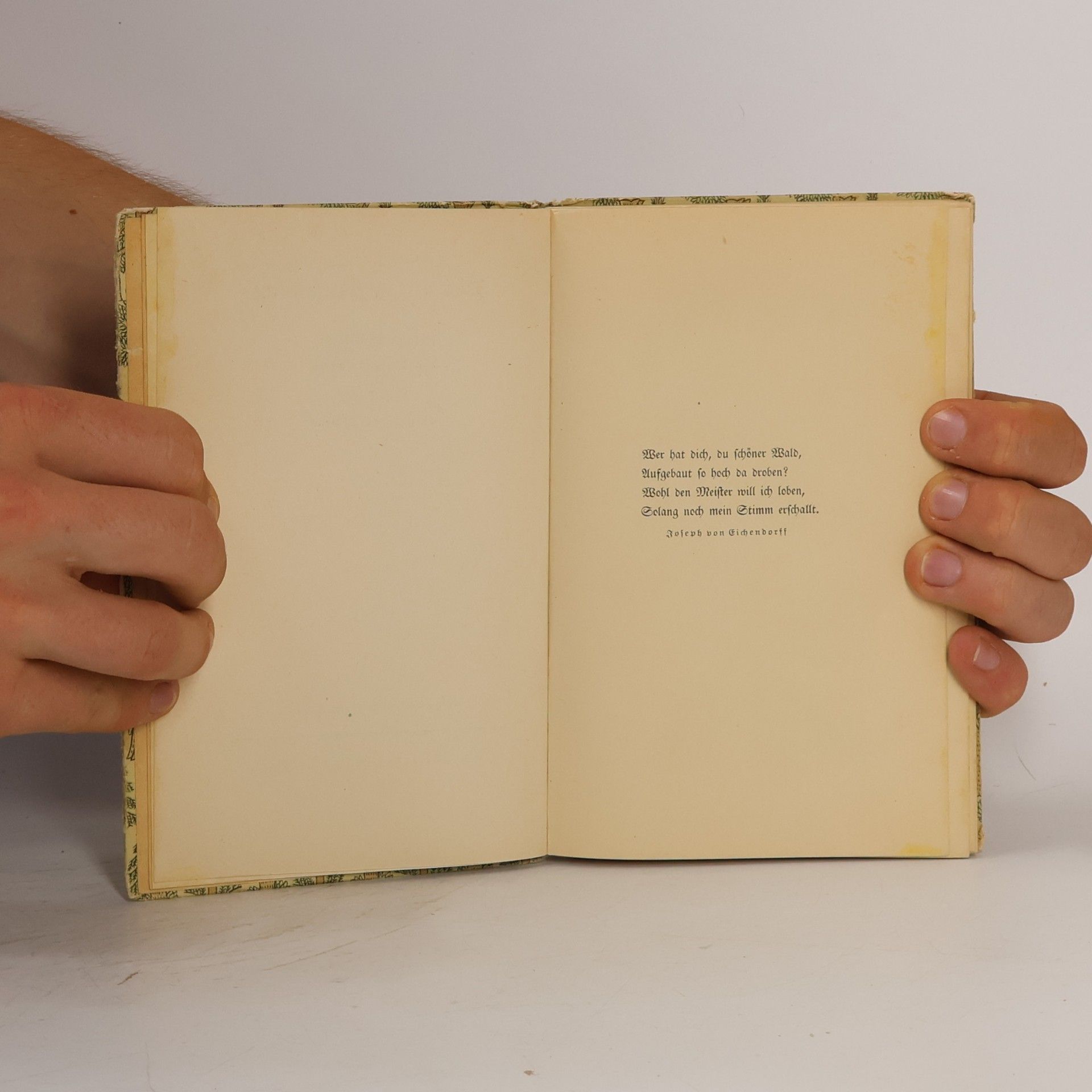 Friedrich Schnack Das kleine Baumbuch