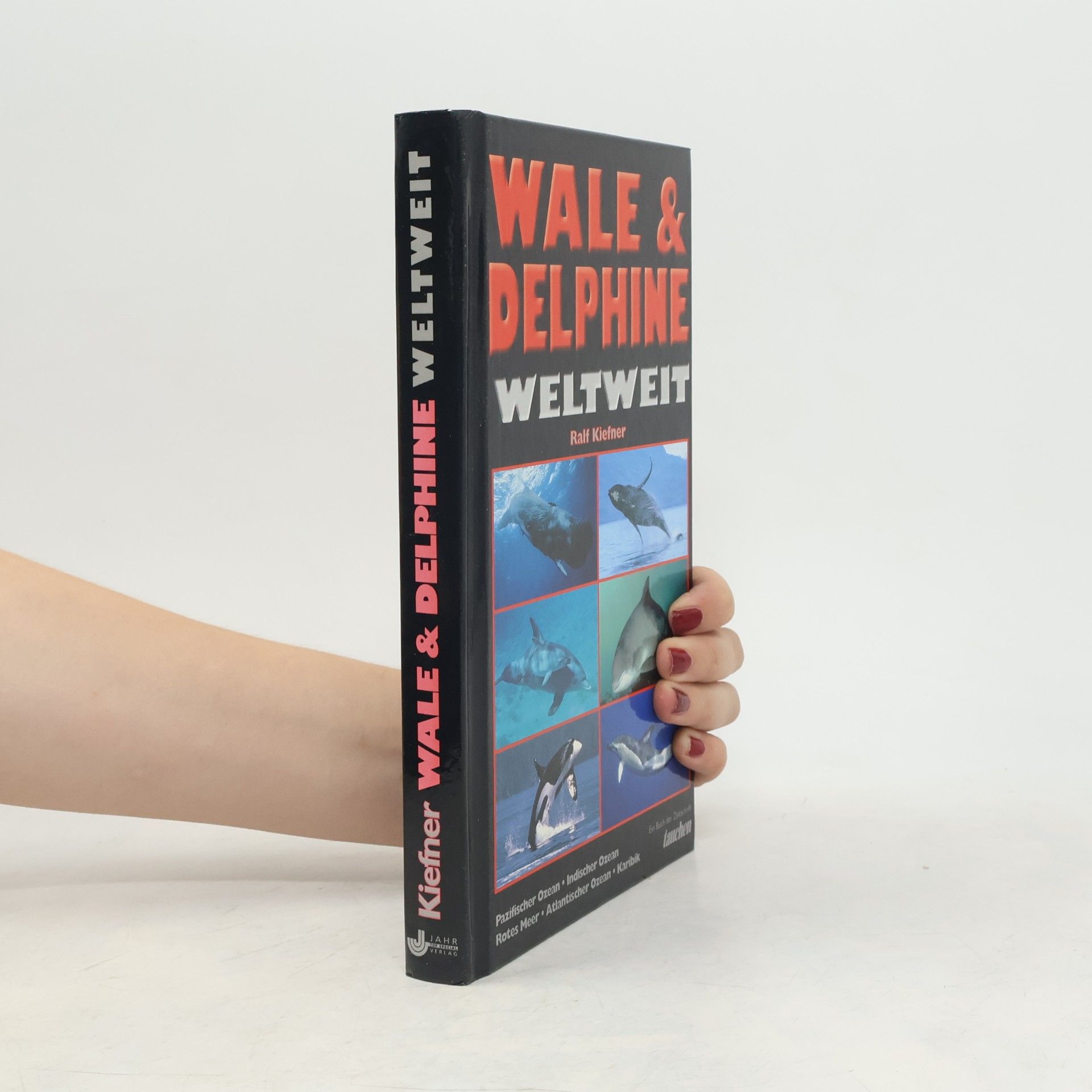 Ralf Kiefner Wale & Delphine weltweit