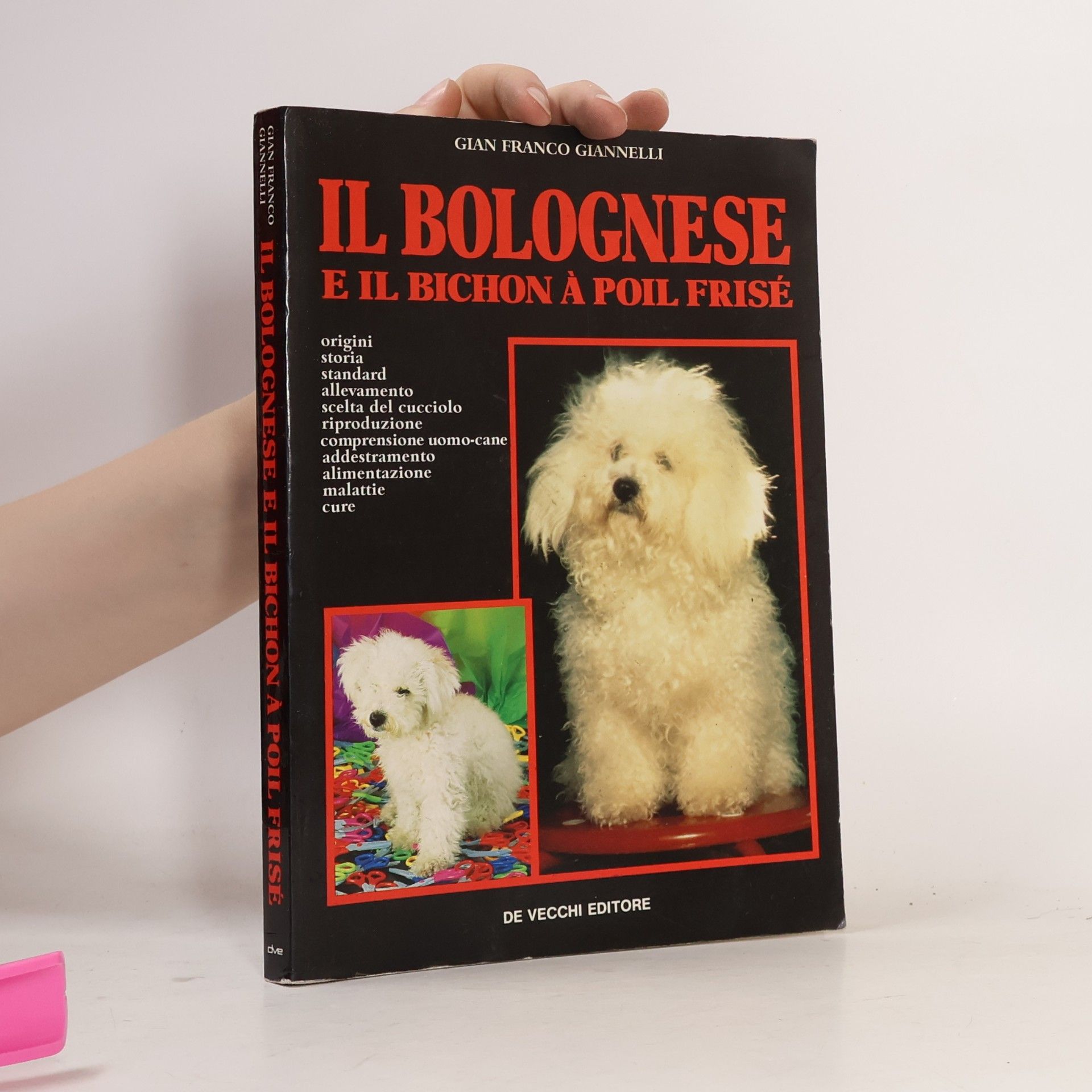 Gian Franco Giannelli Il bolognese e il bichon à poil frisé