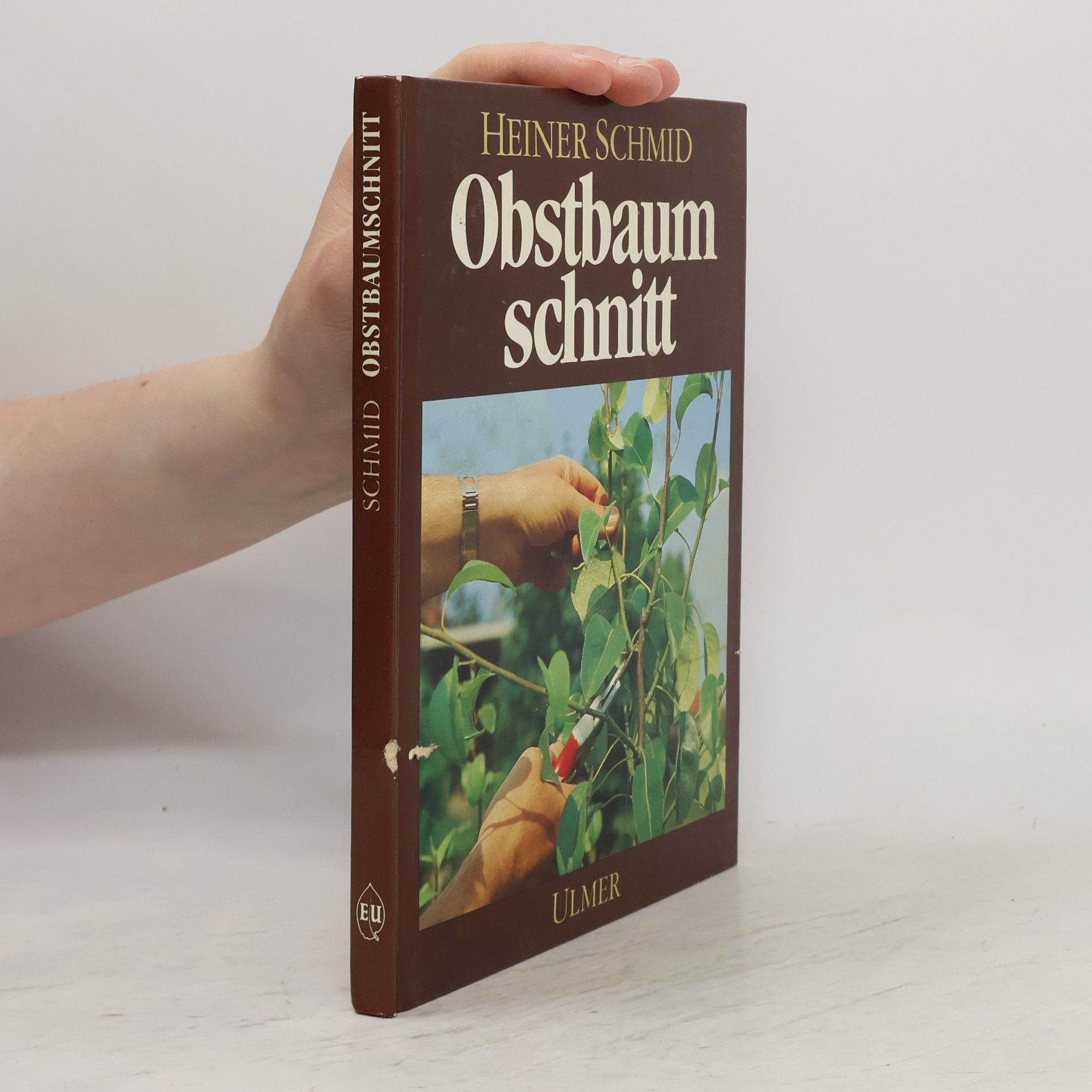 Obstbaumschnitt