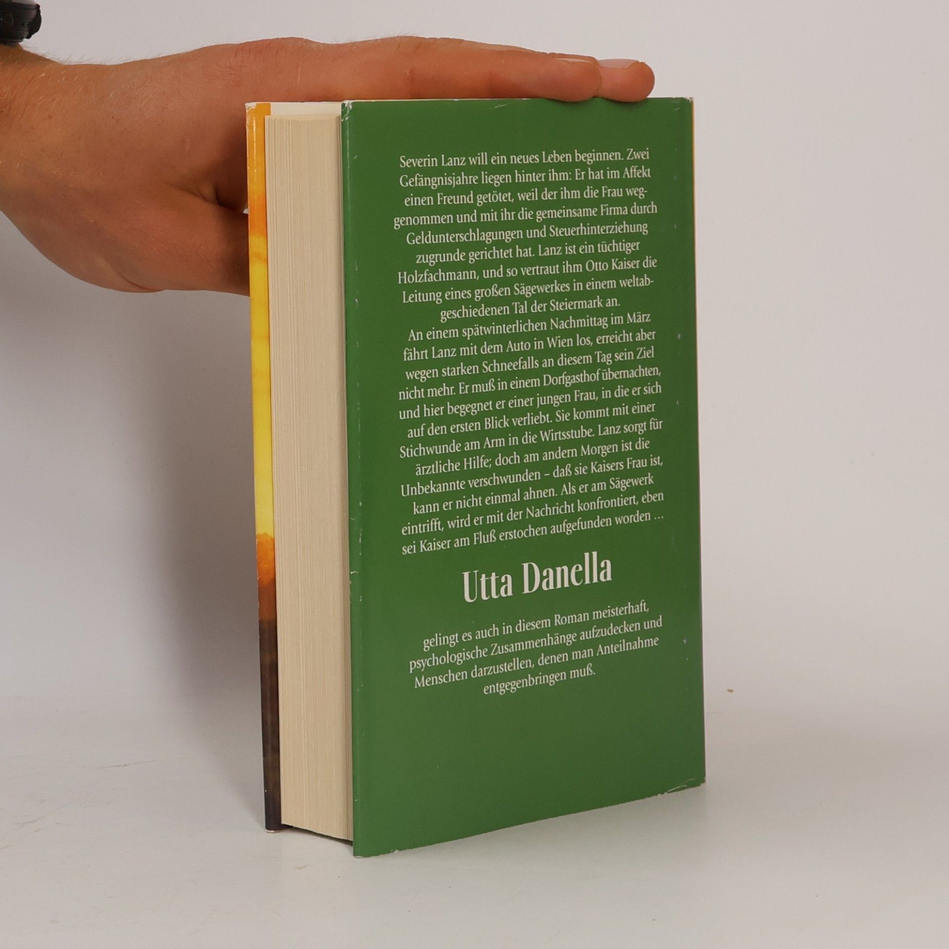 Utta Danella Der Schatten des Adlers