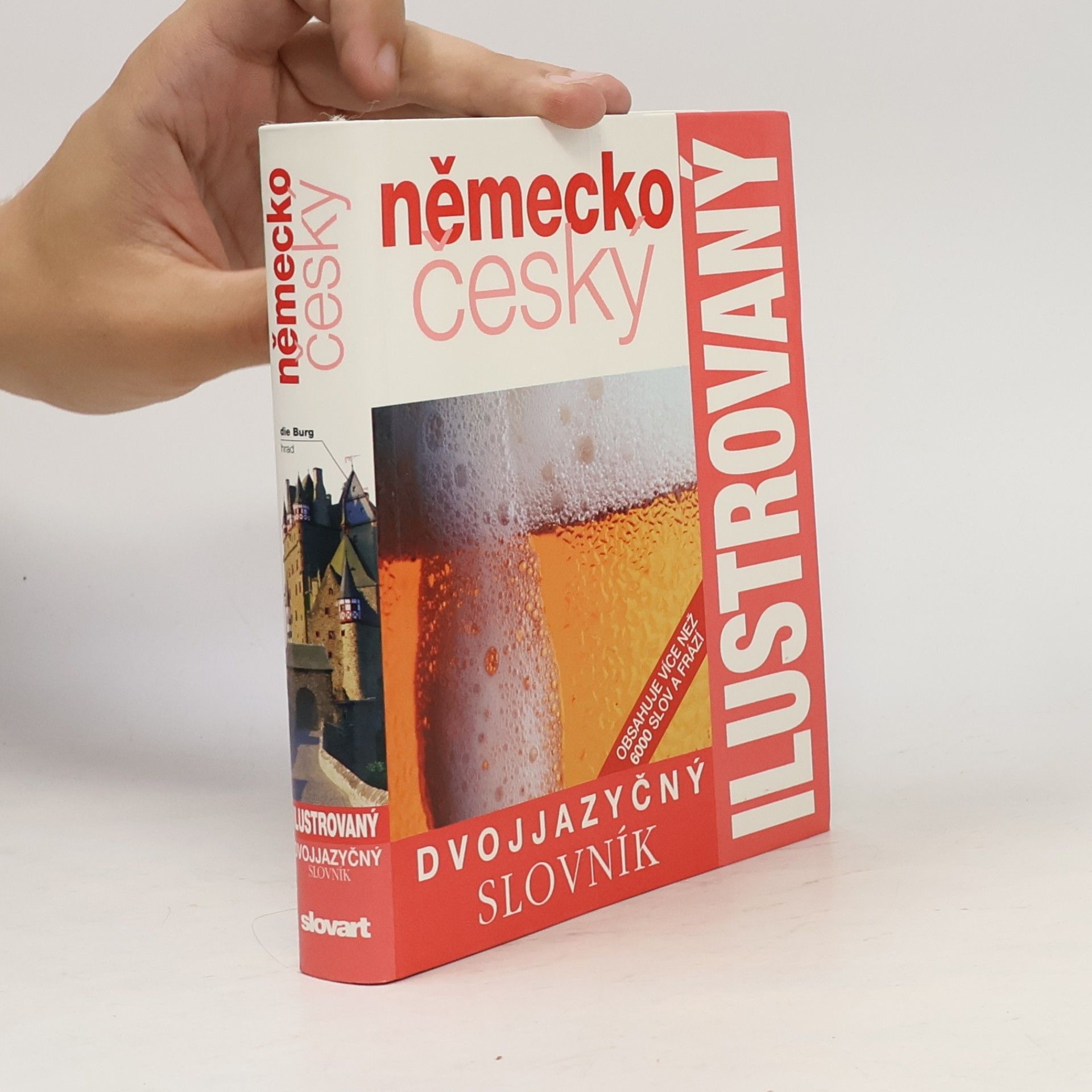 Zuzanna Bedřichová Německo český dvojjazyčný ilustrovaný slovník