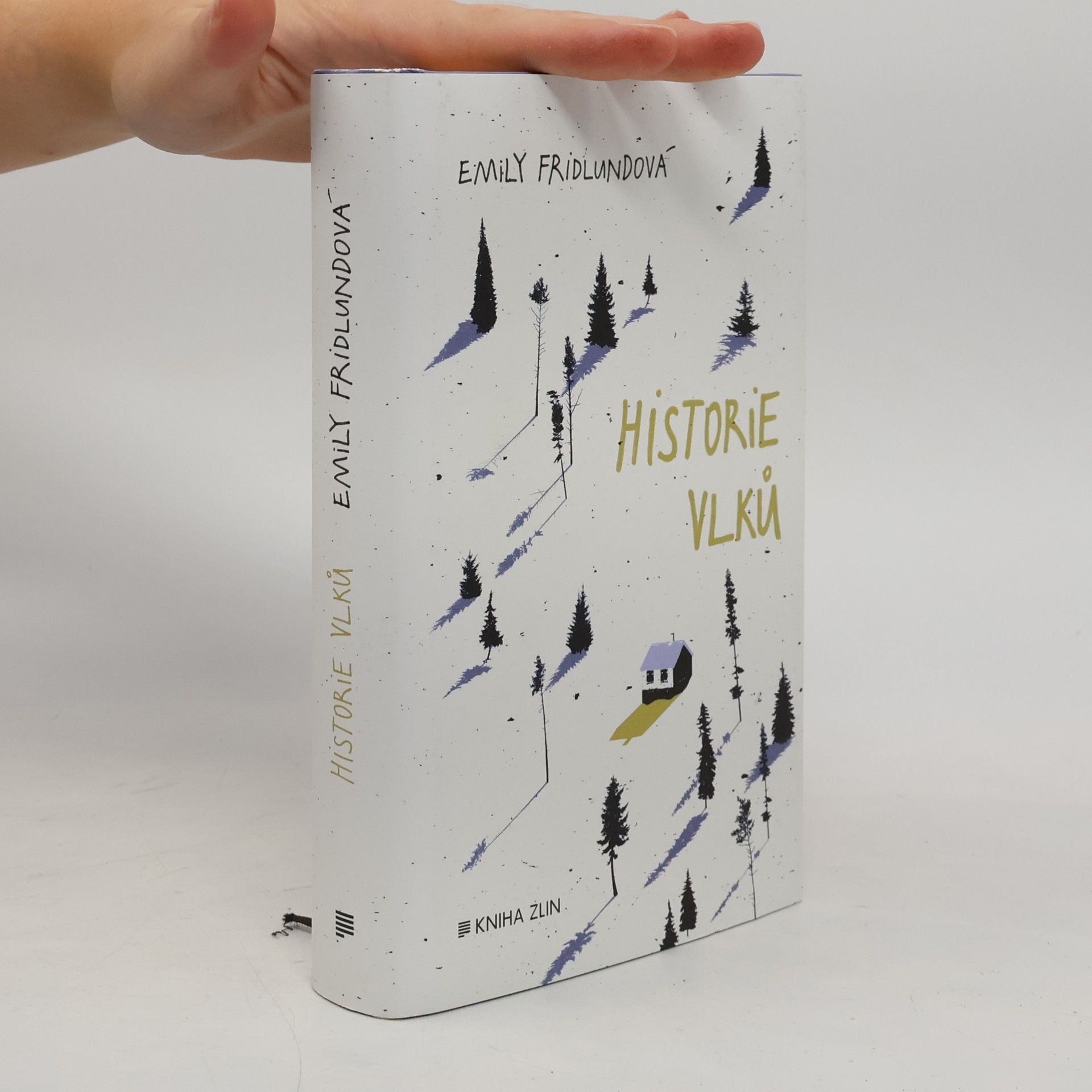 Emily Fridlund Historie vlků