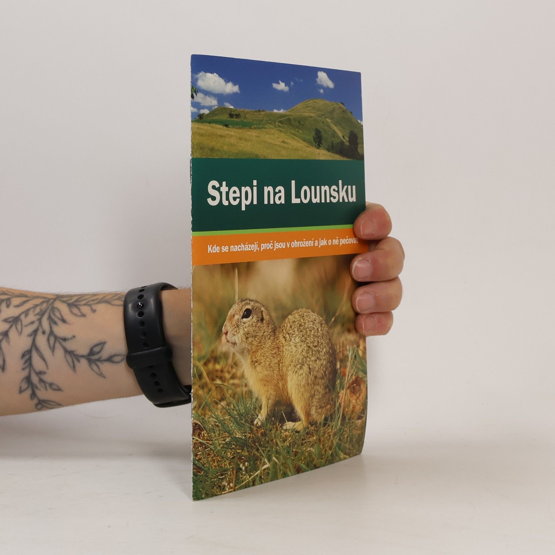 Stepi na Lounsku