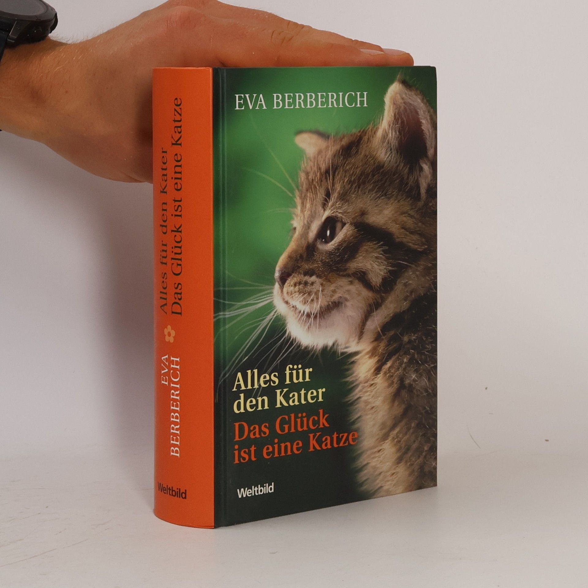 Eva Berberich Das Glück ist eine Katze