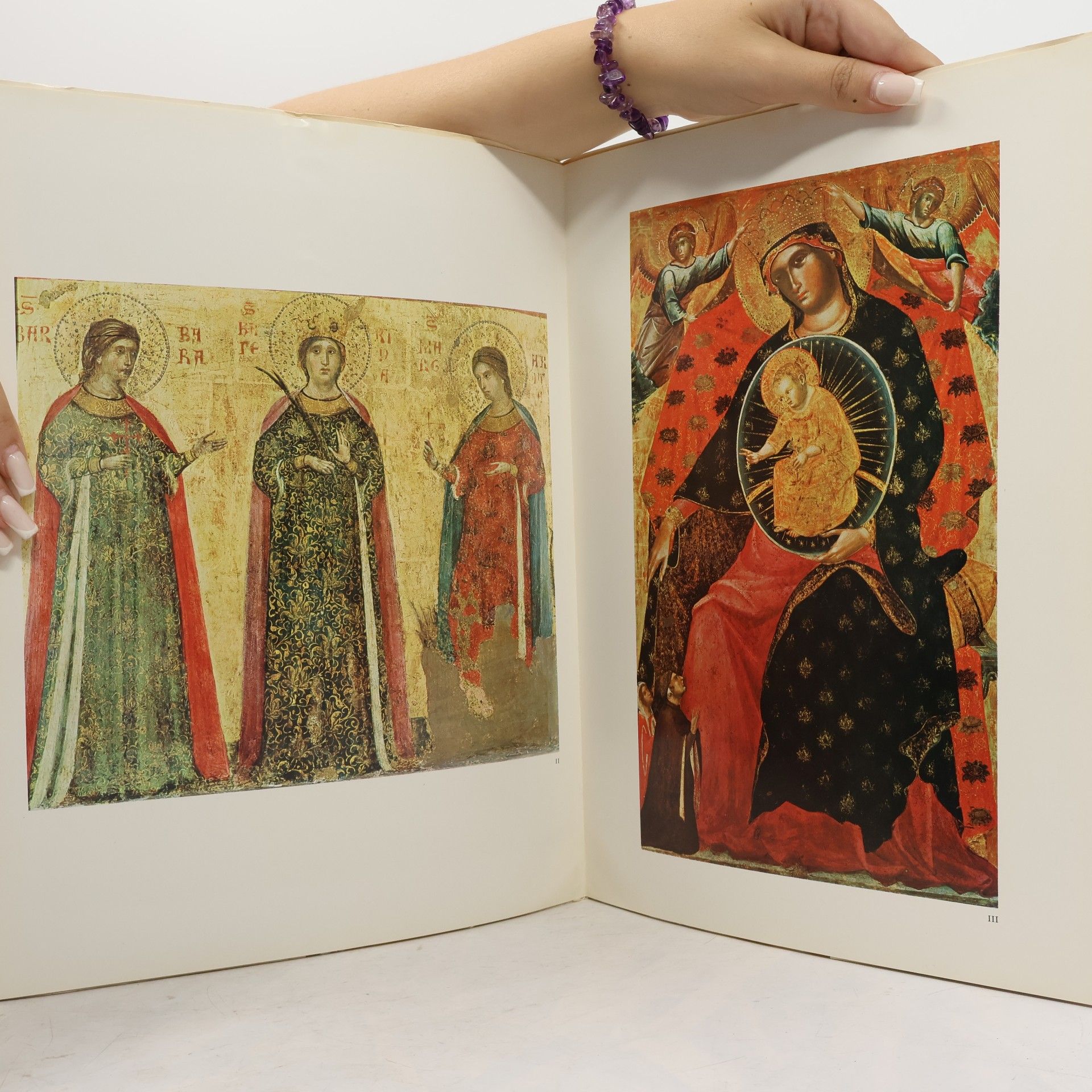 Kolektiv autorů I maestri del colore 241