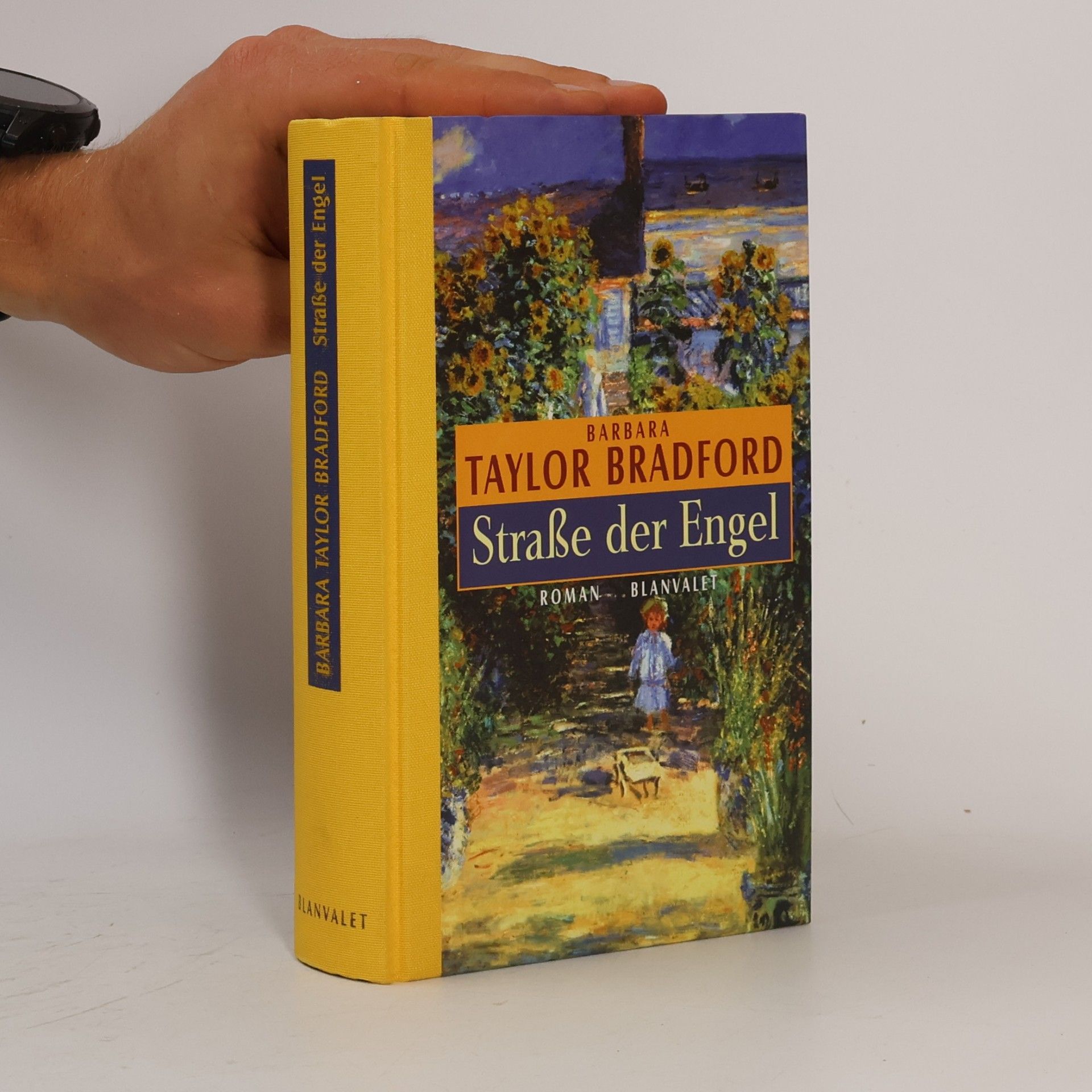 Barbara Taylor Bradford Straße der Engel. Roman