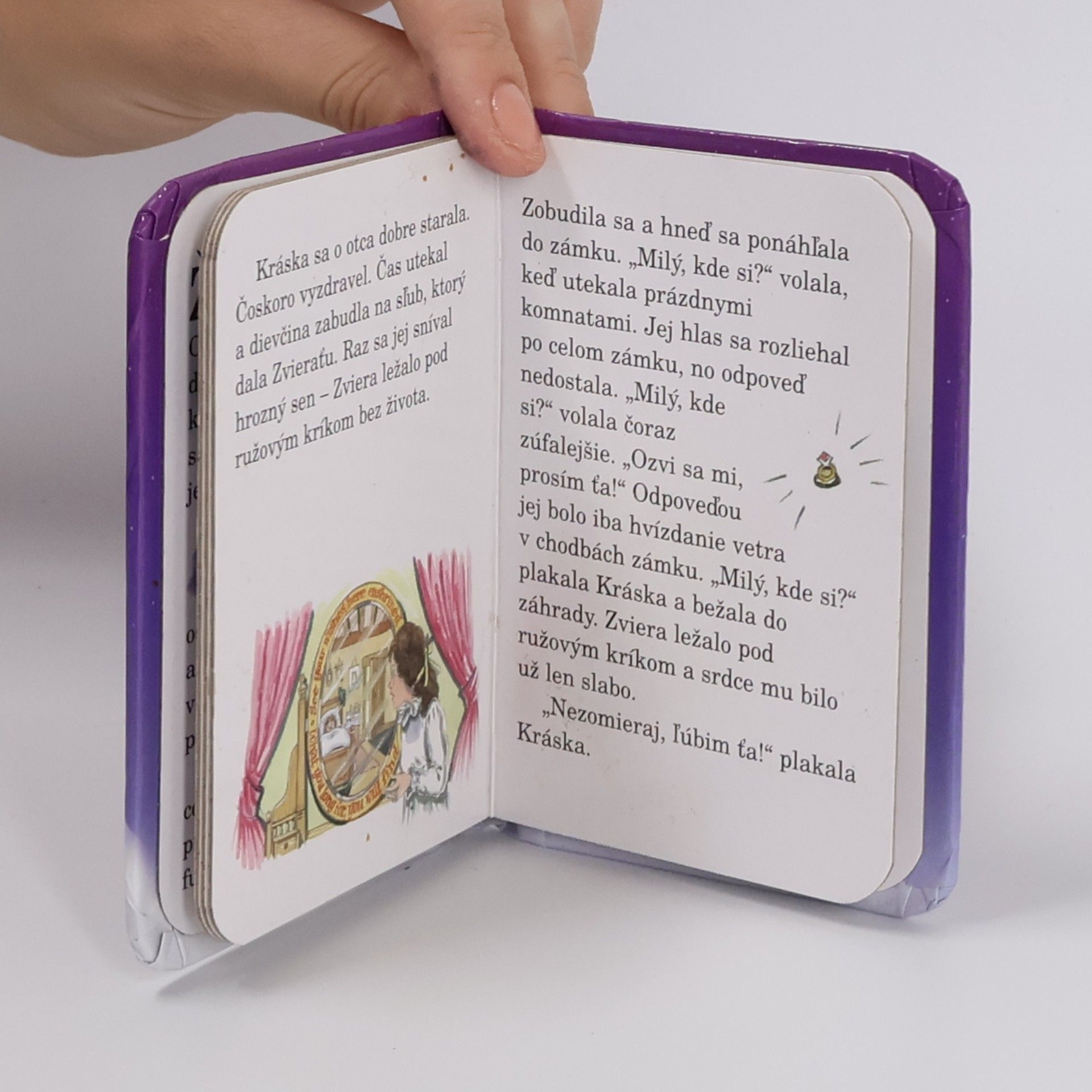 Autorenkollektiv Kráska a zviera