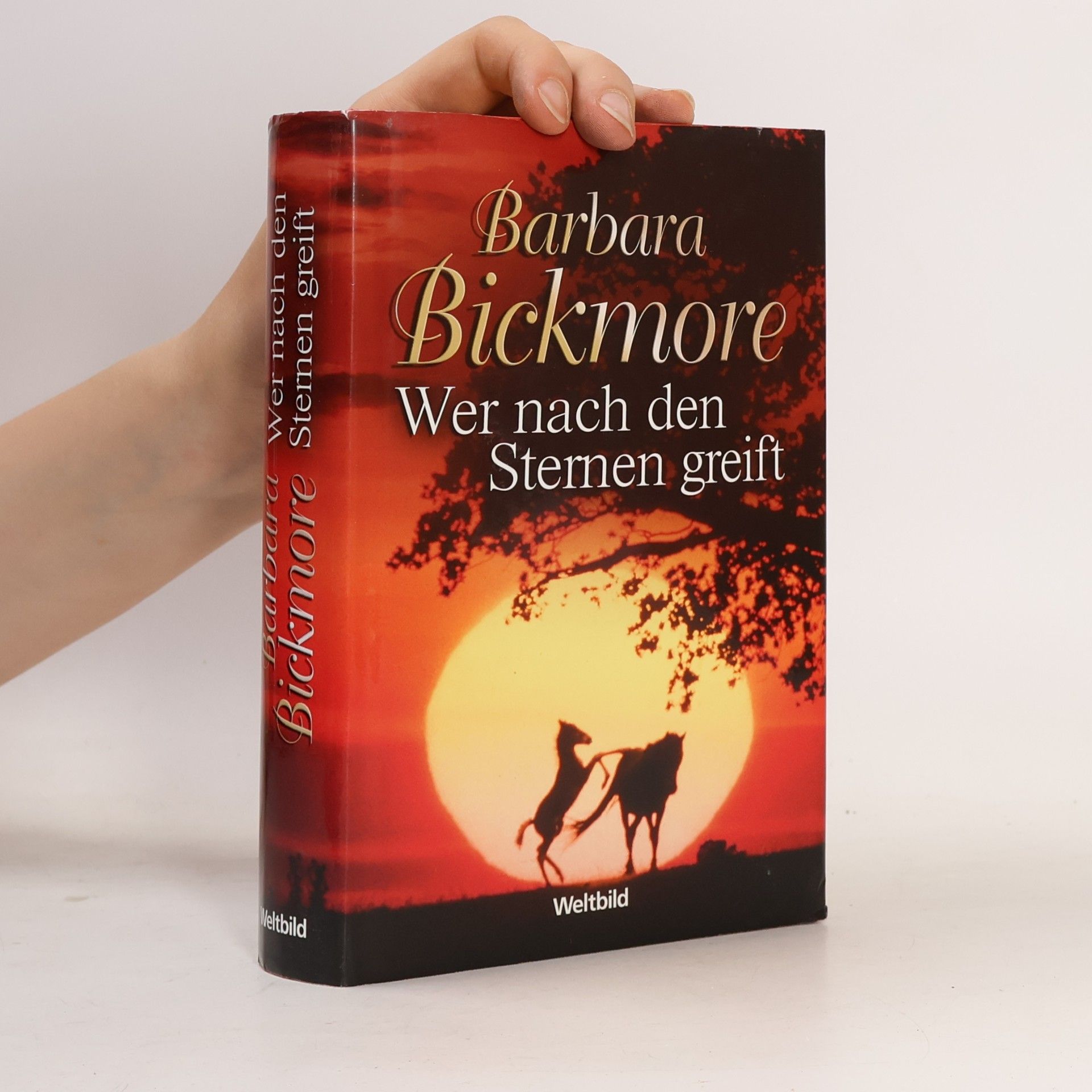Barbara Bickmore Wer nach den Sternen greift