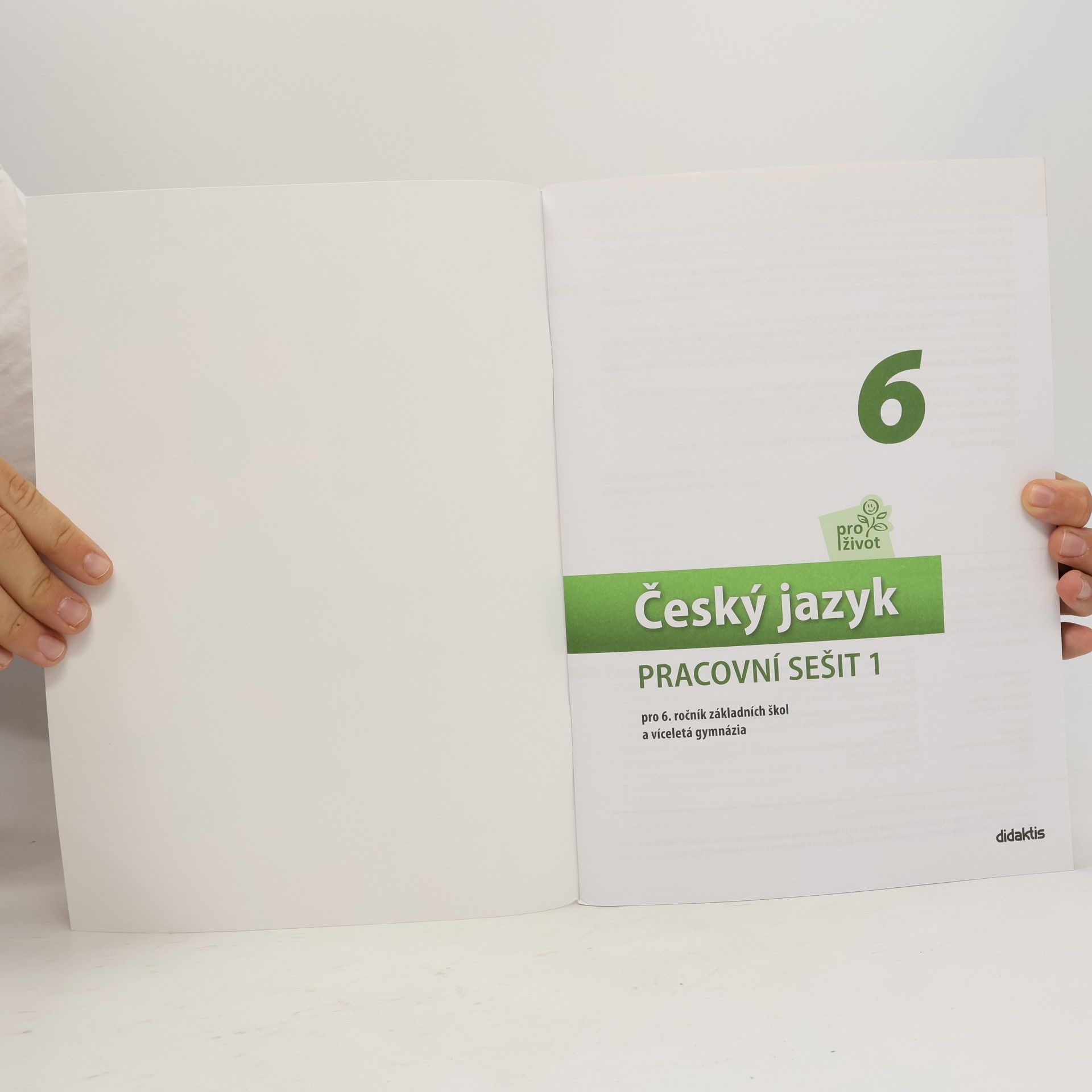 Autorenkollektiv Český jazyk 6, Part 1