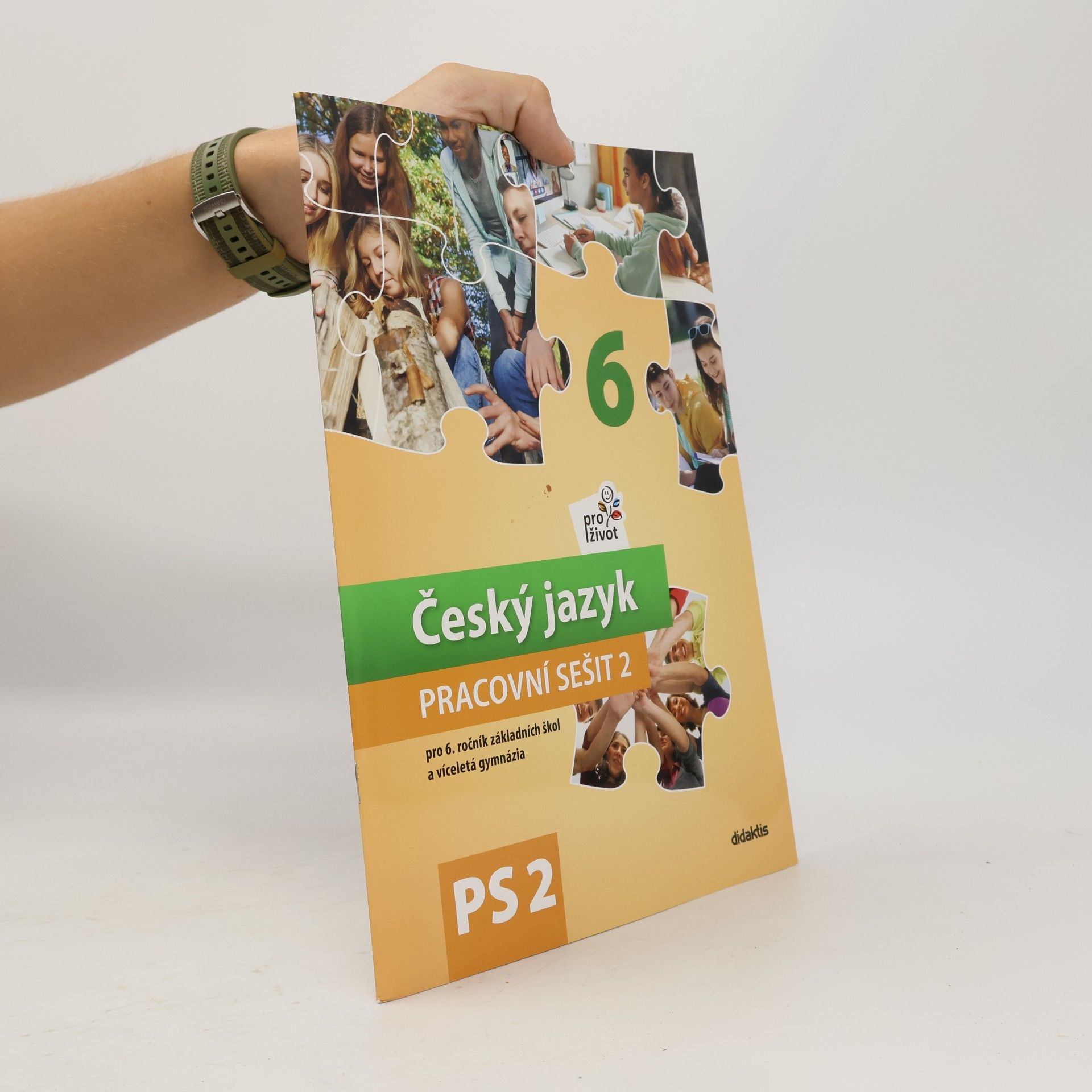 Autorenkollektiv Český jazyk PRACOVNÍ SEŠIT 2 pro 6. ročník základních škol a víceletá gymnázia