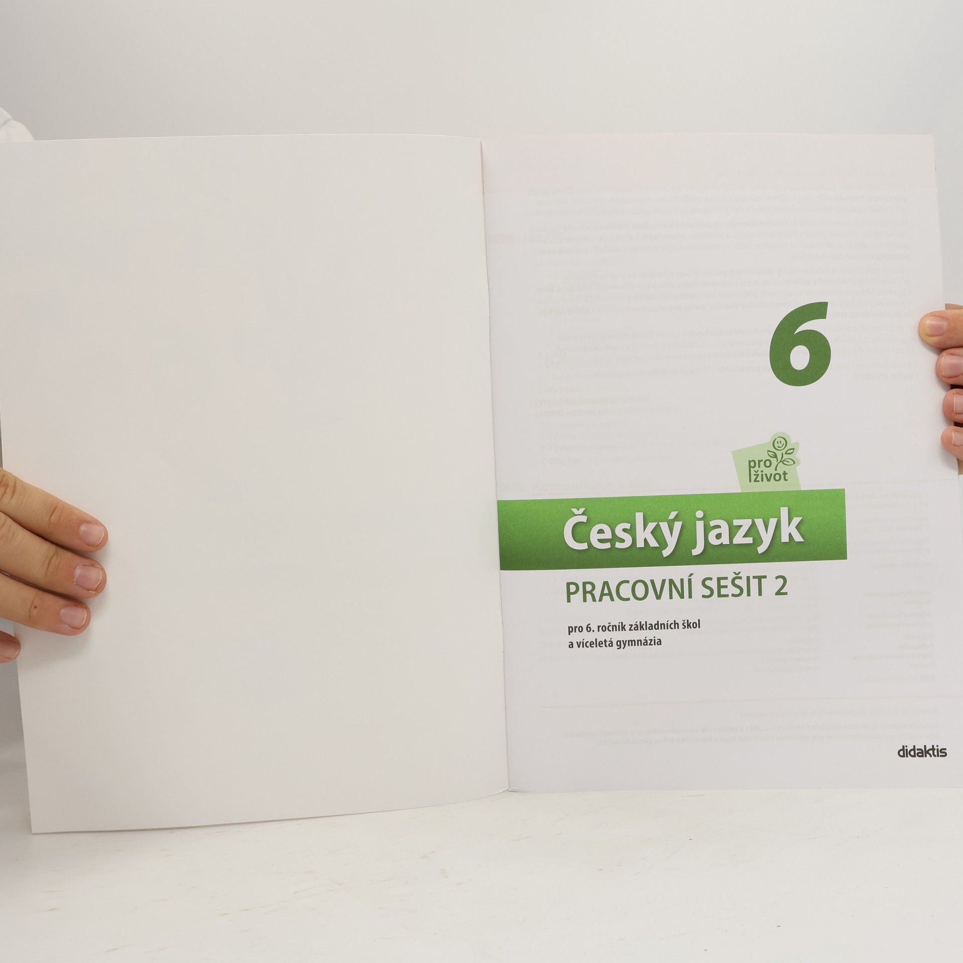 Autorenkollektiv Český jazyk PRACOVNÍ SEŠIT 2 pro 6. ročník základních škol a víceletá gymnázia
