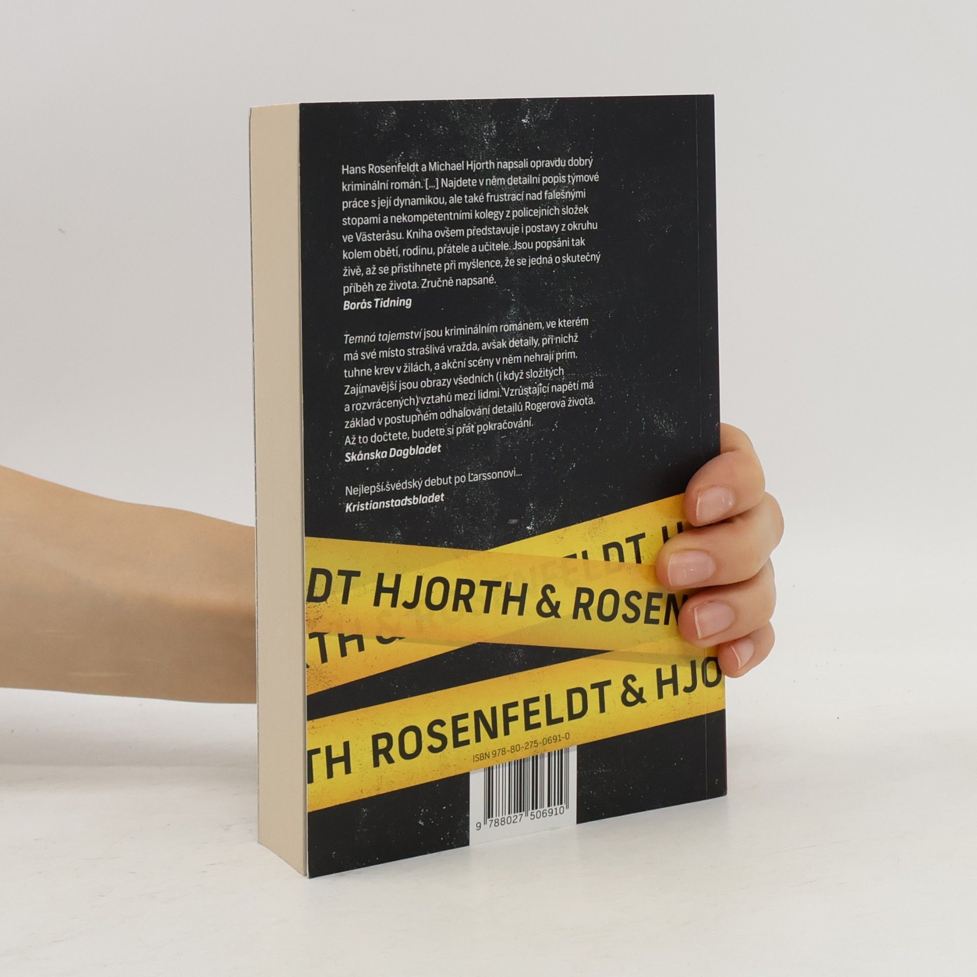 Hans Rosenfeldt Temná tajemství