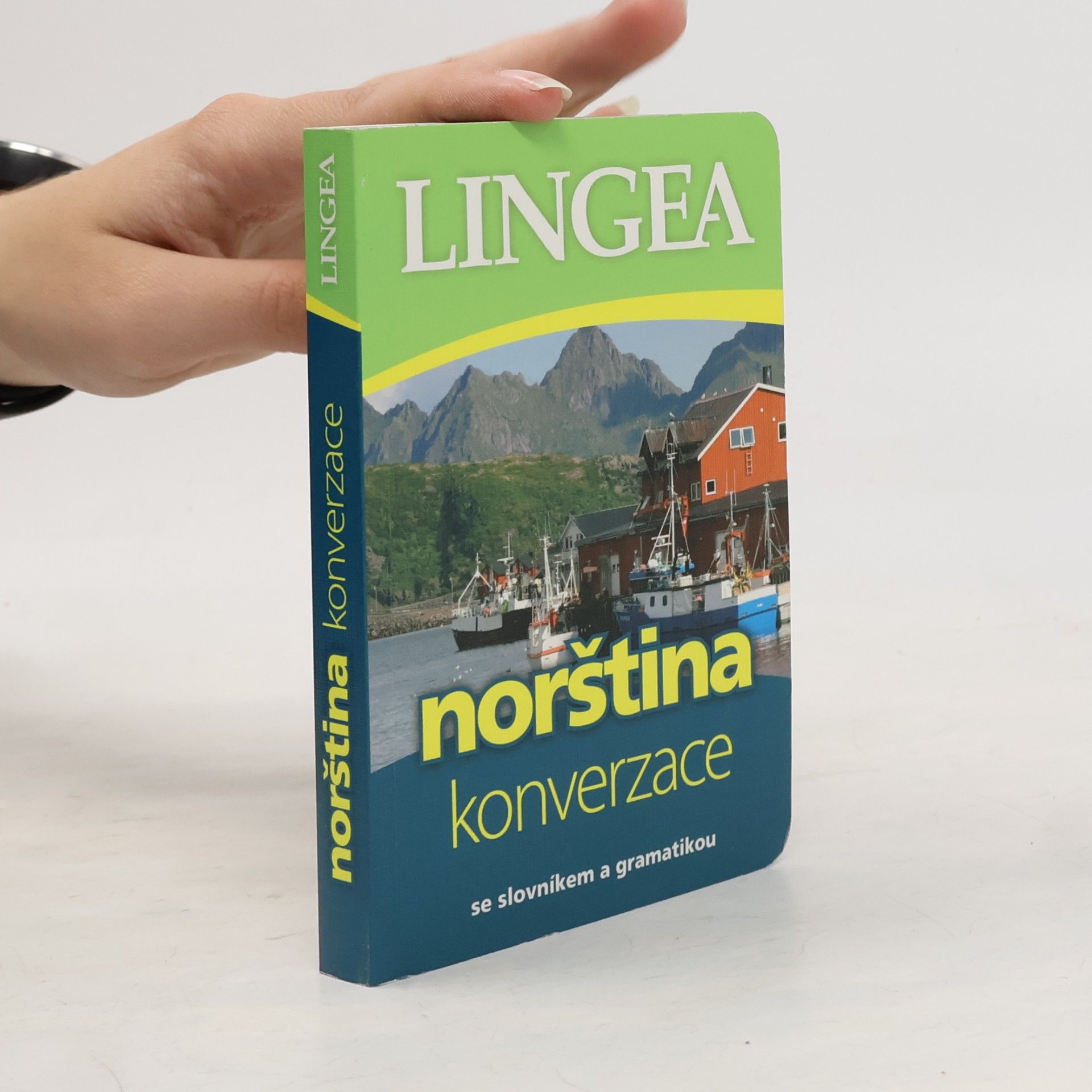 AA.VV. Norština. Konverzace se slovníkem a gramatikou