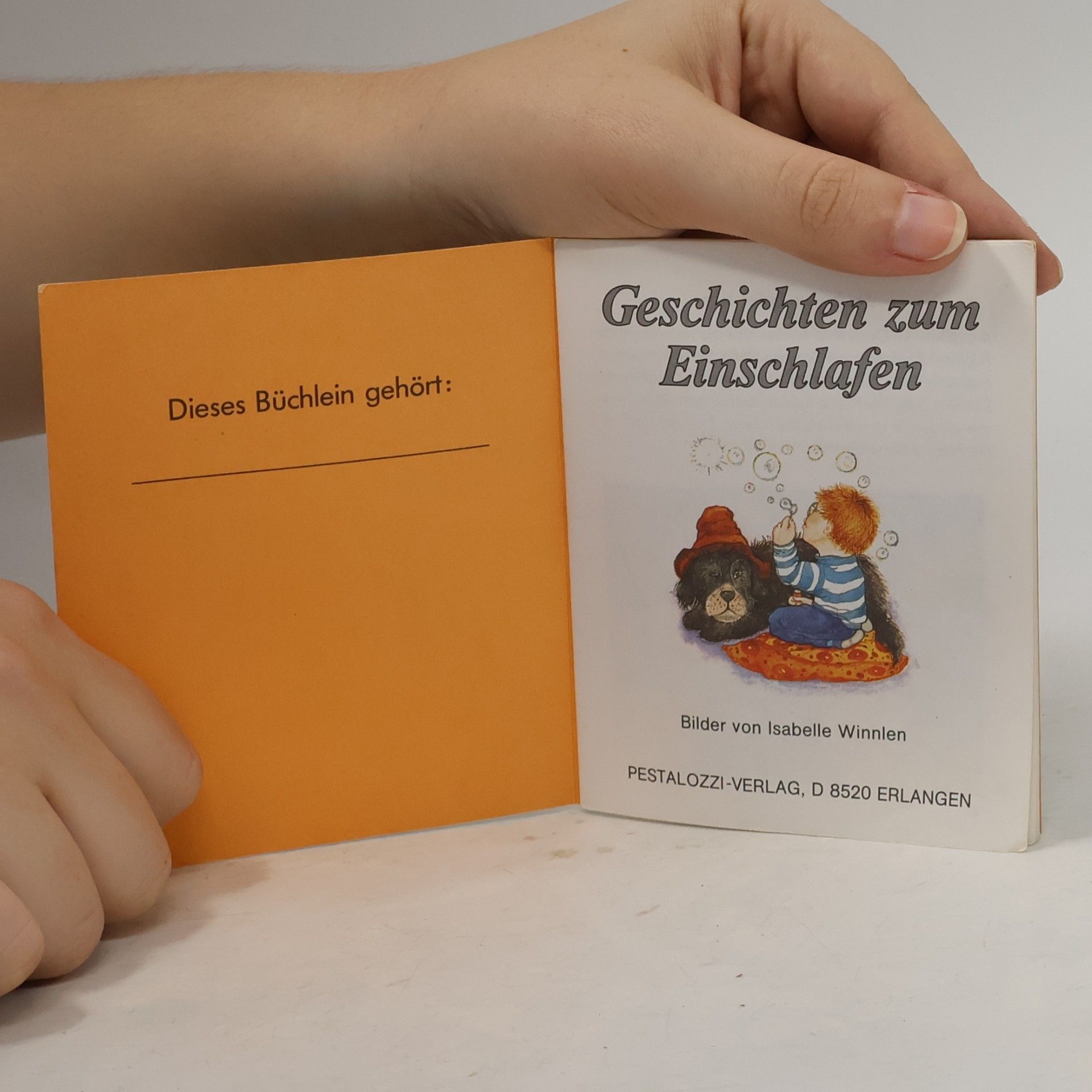 Autorenkollektiv Geschichten zum Träumen