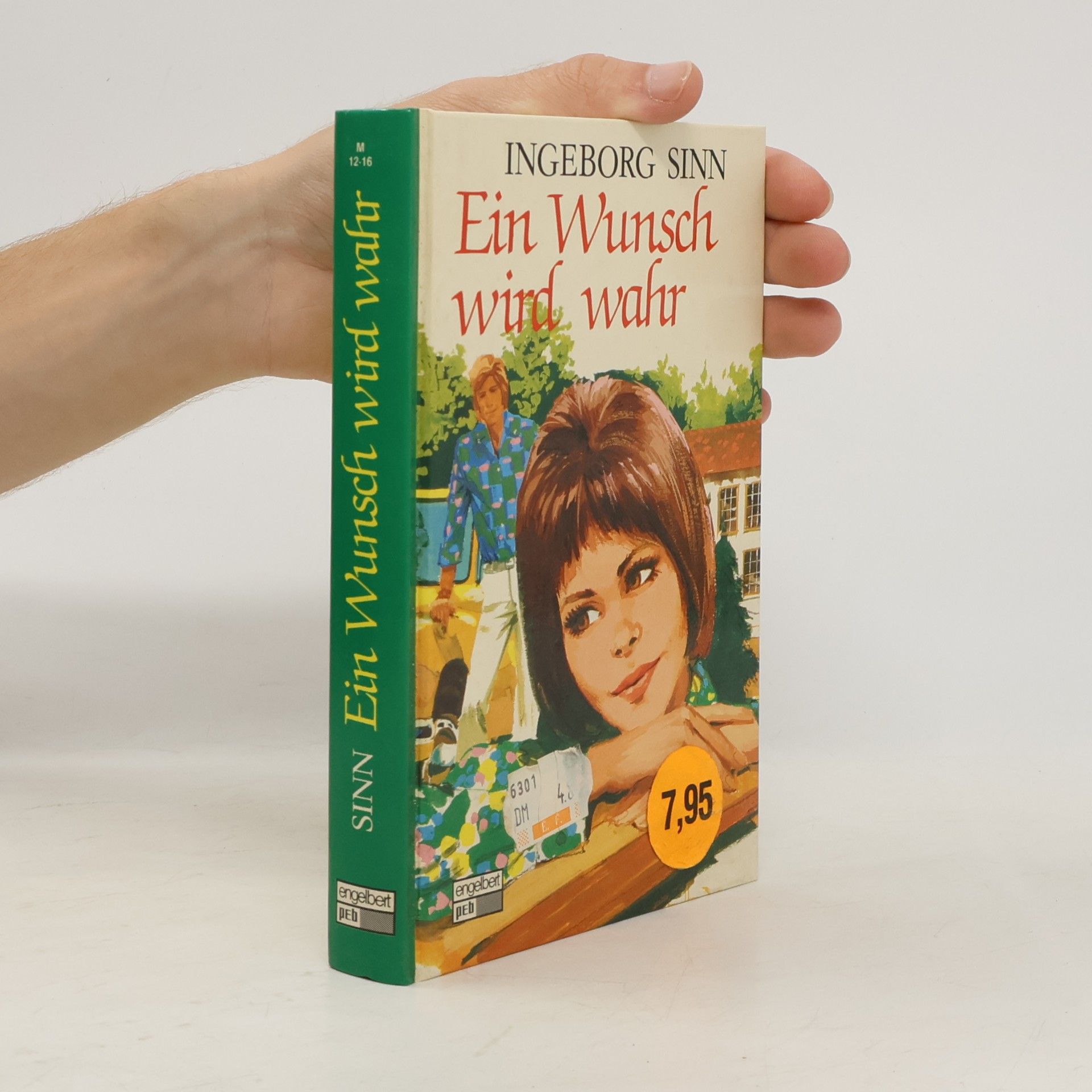Ingeborg Sinn Ein Wunsch wird wahr