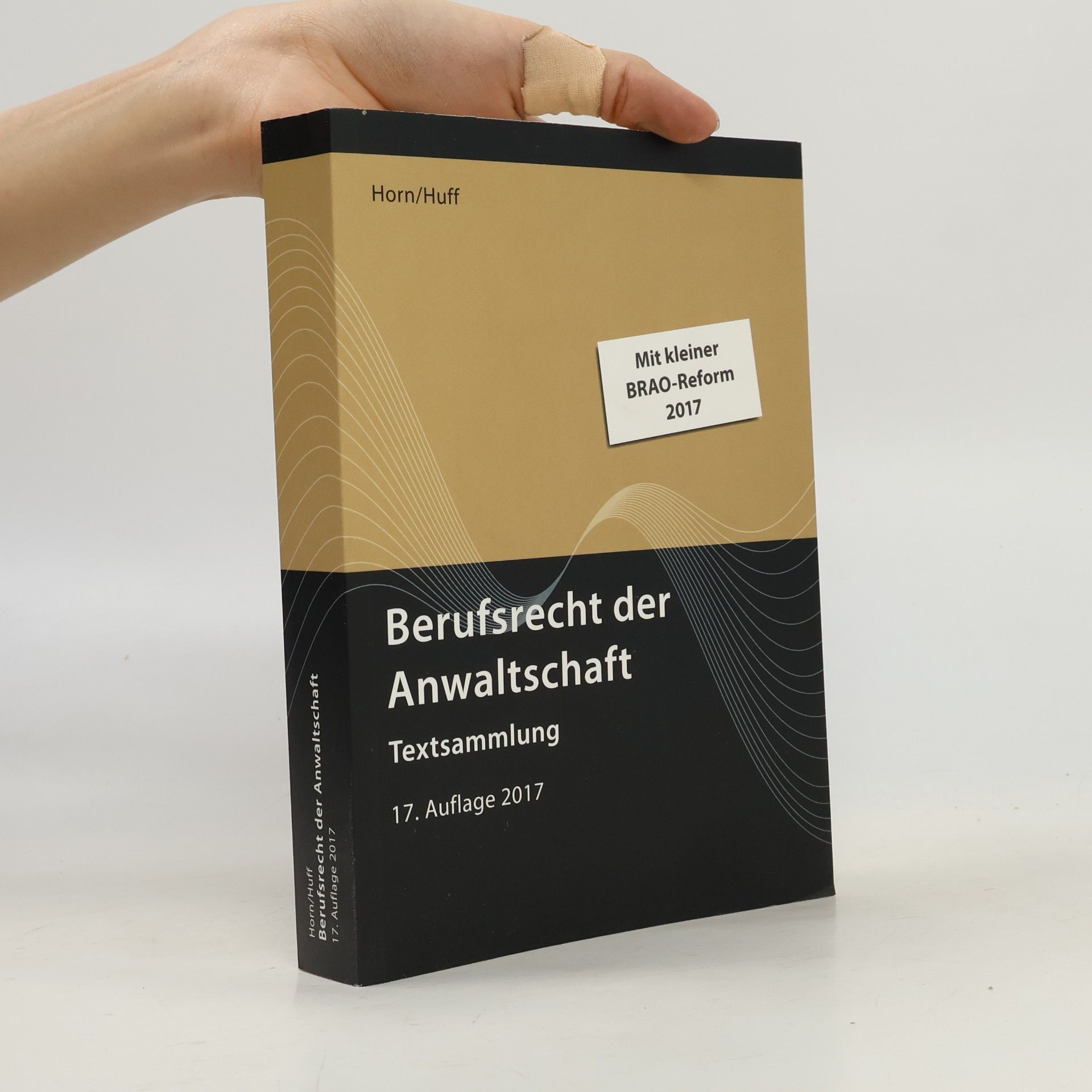 Wieland Horn Berufsrecht der Anwaltshaft. Textsammlung