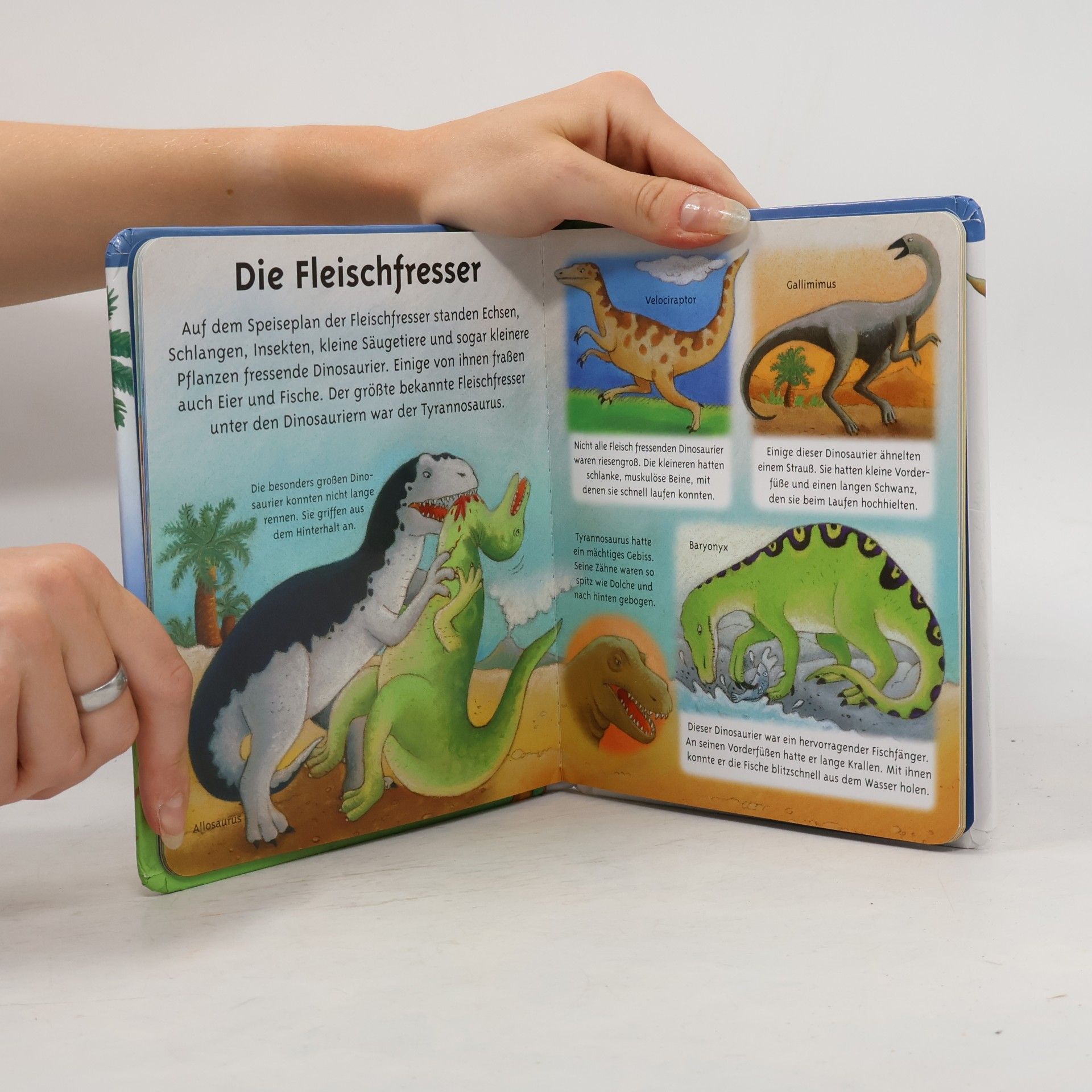 Émilie Beaumont Die Dinosaurier