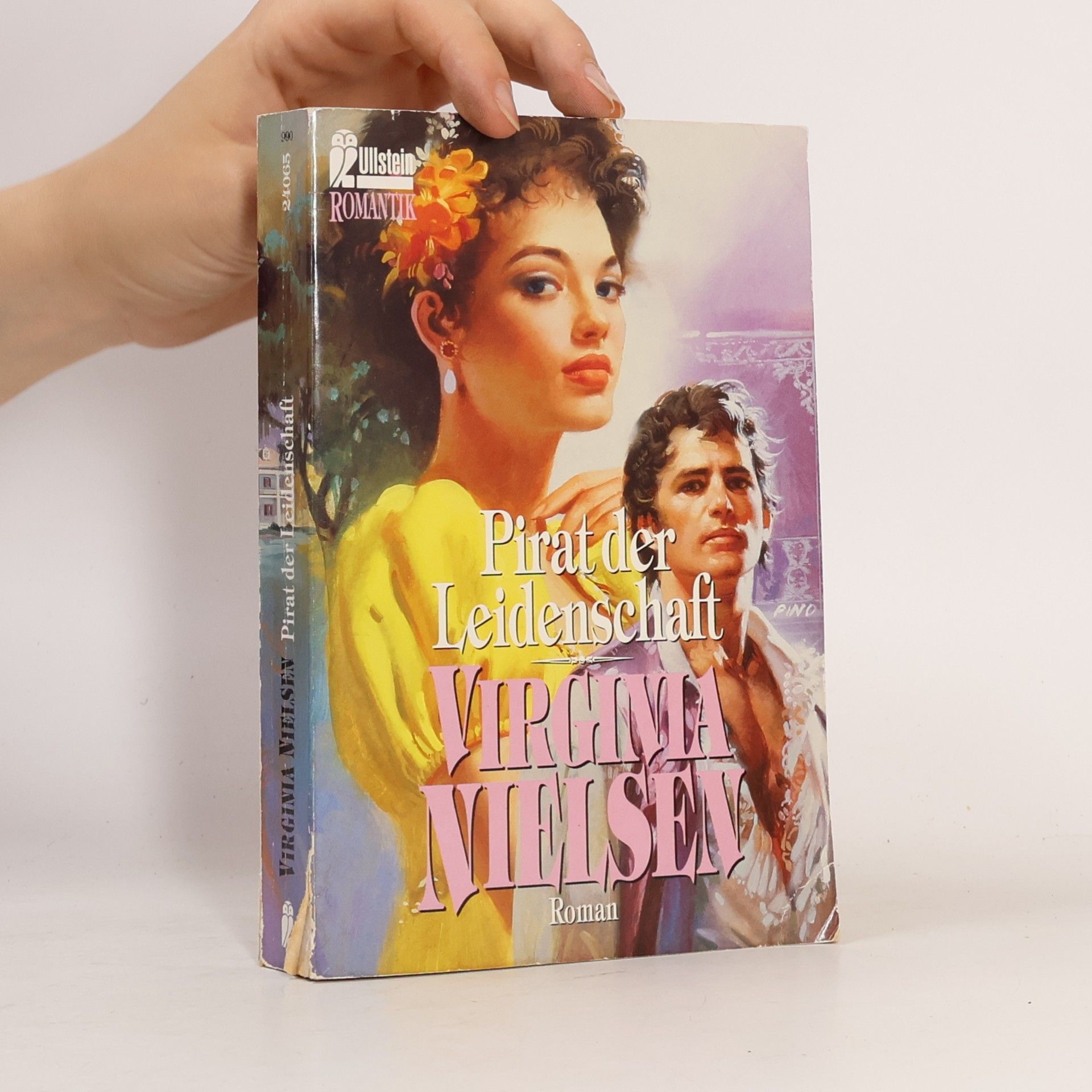 Virginia Nielsen Pirat der Leidenschaft. Roman