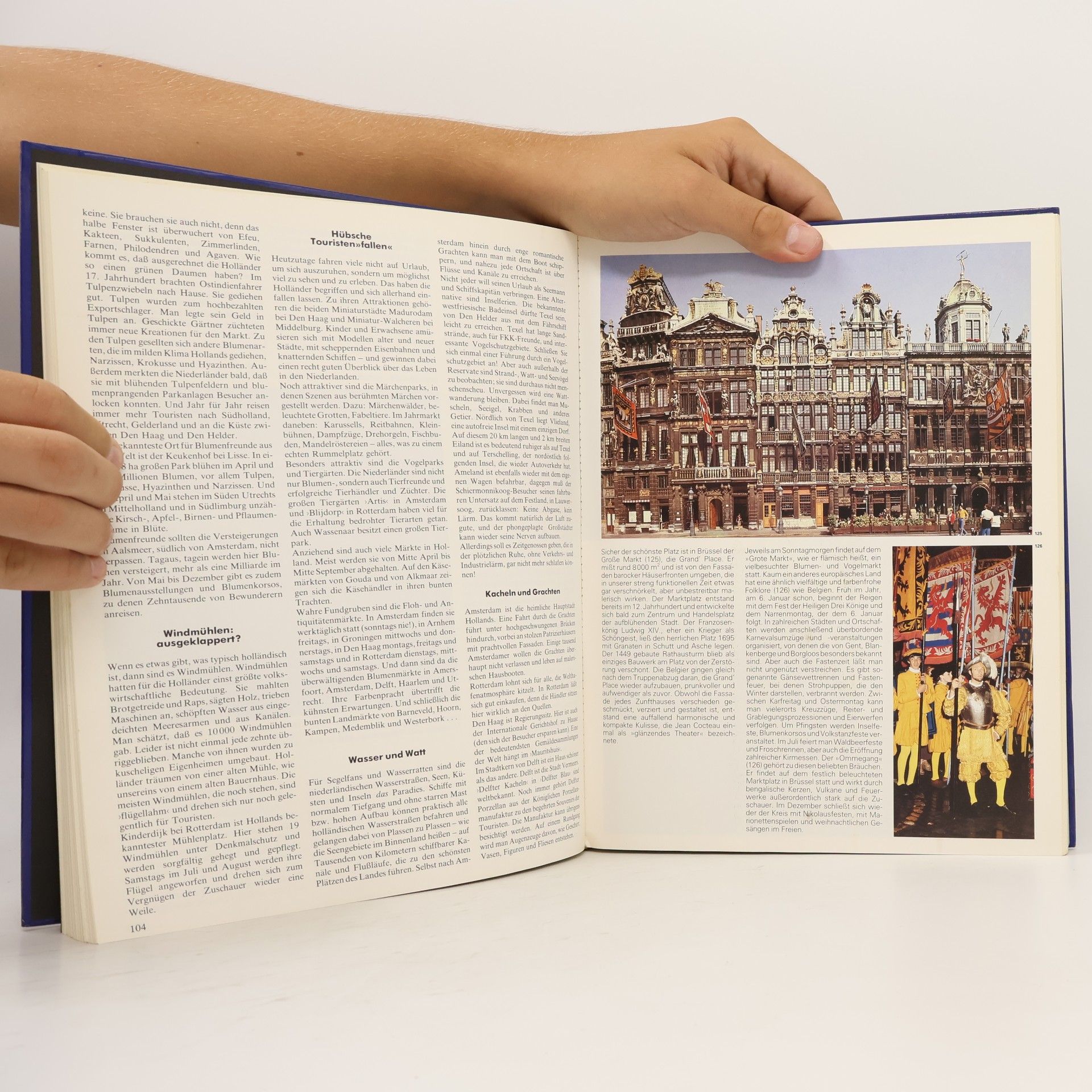 Collectif d'auteurs Farbiges Europa