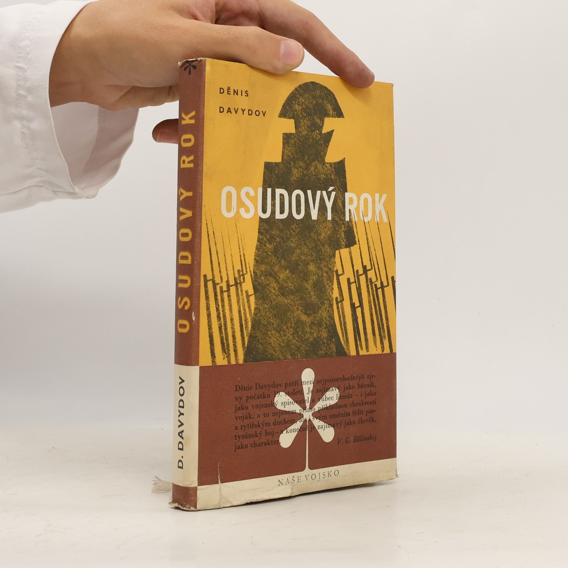 Děnis Davydov Osudový rok