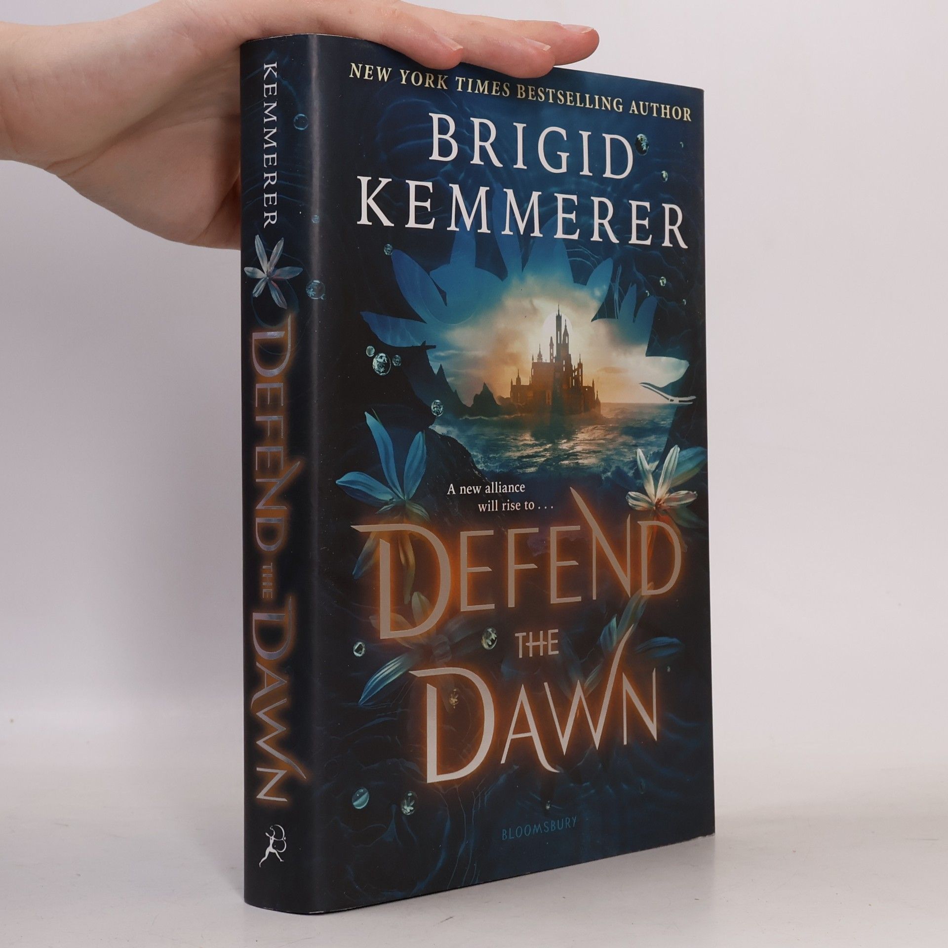 Brigid Kemmerer Defend the dawn