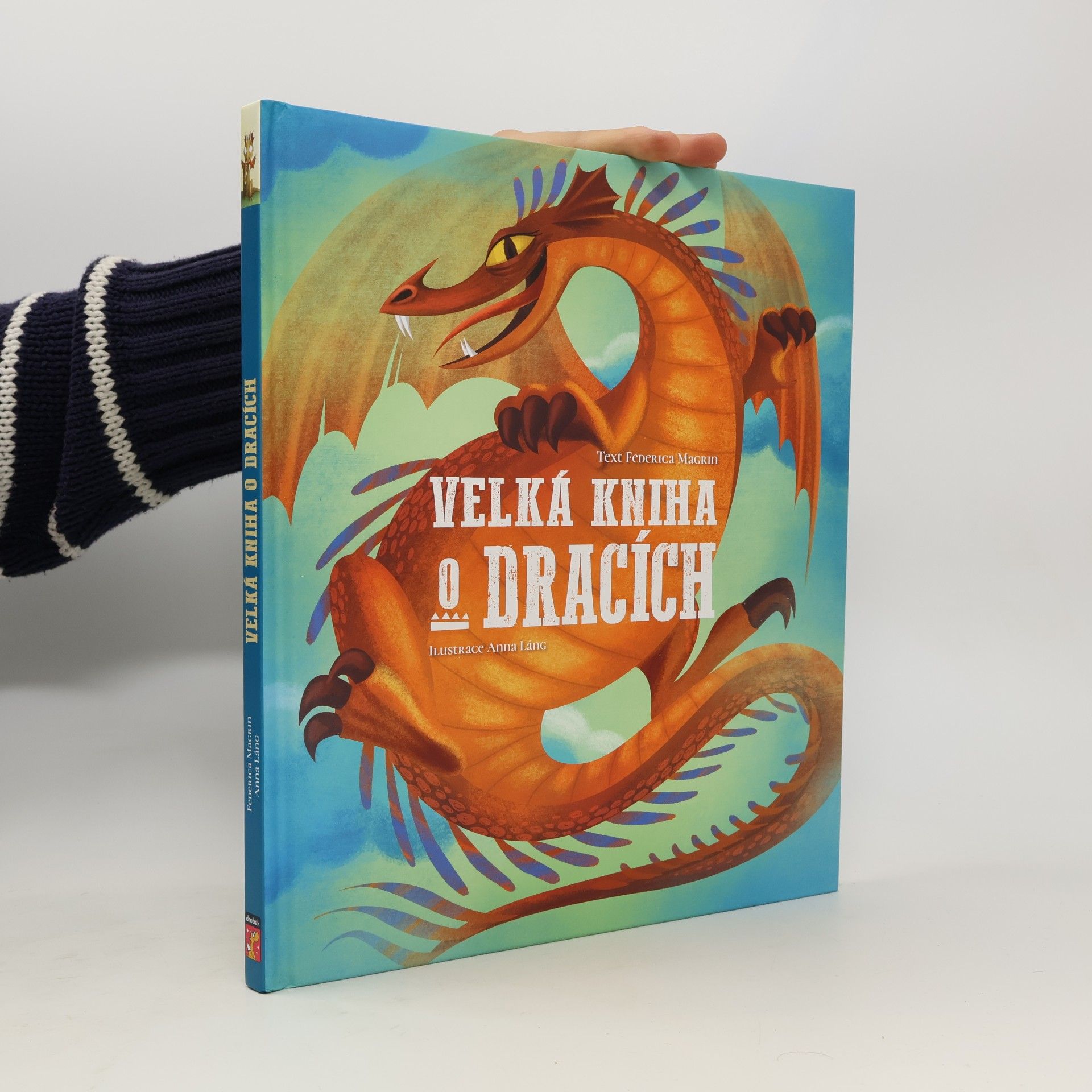 Federica Magrin Velká kniha o dracích