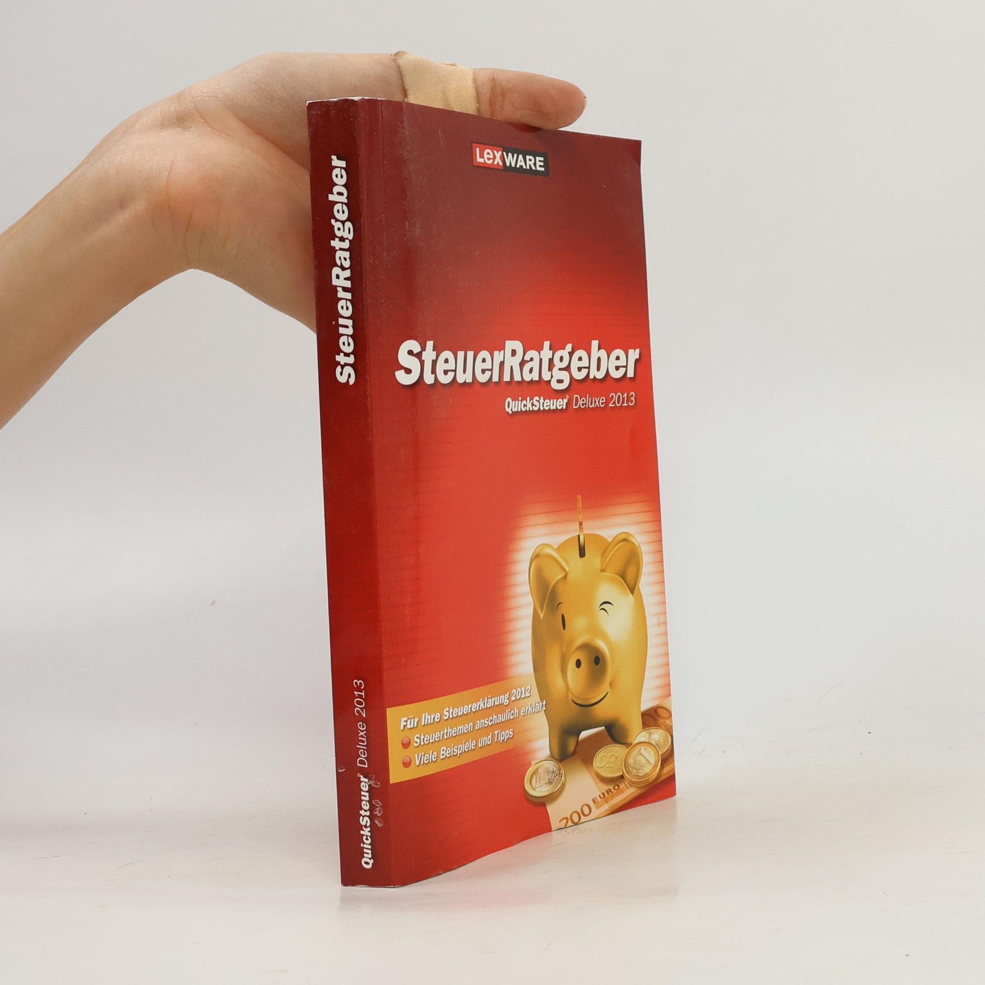 Various authors QuickSteuer Deluxe 2013 Steuerratgeber