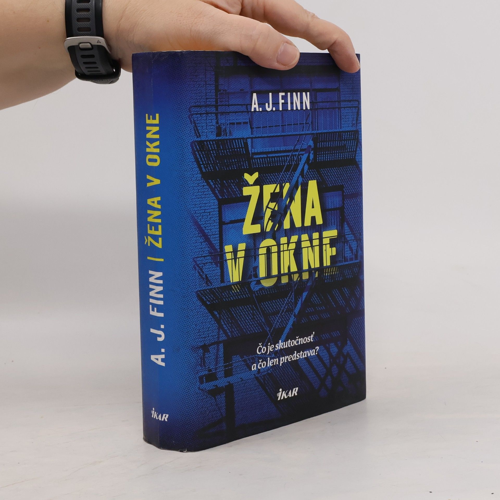 Daniel Mallory Žena v okne