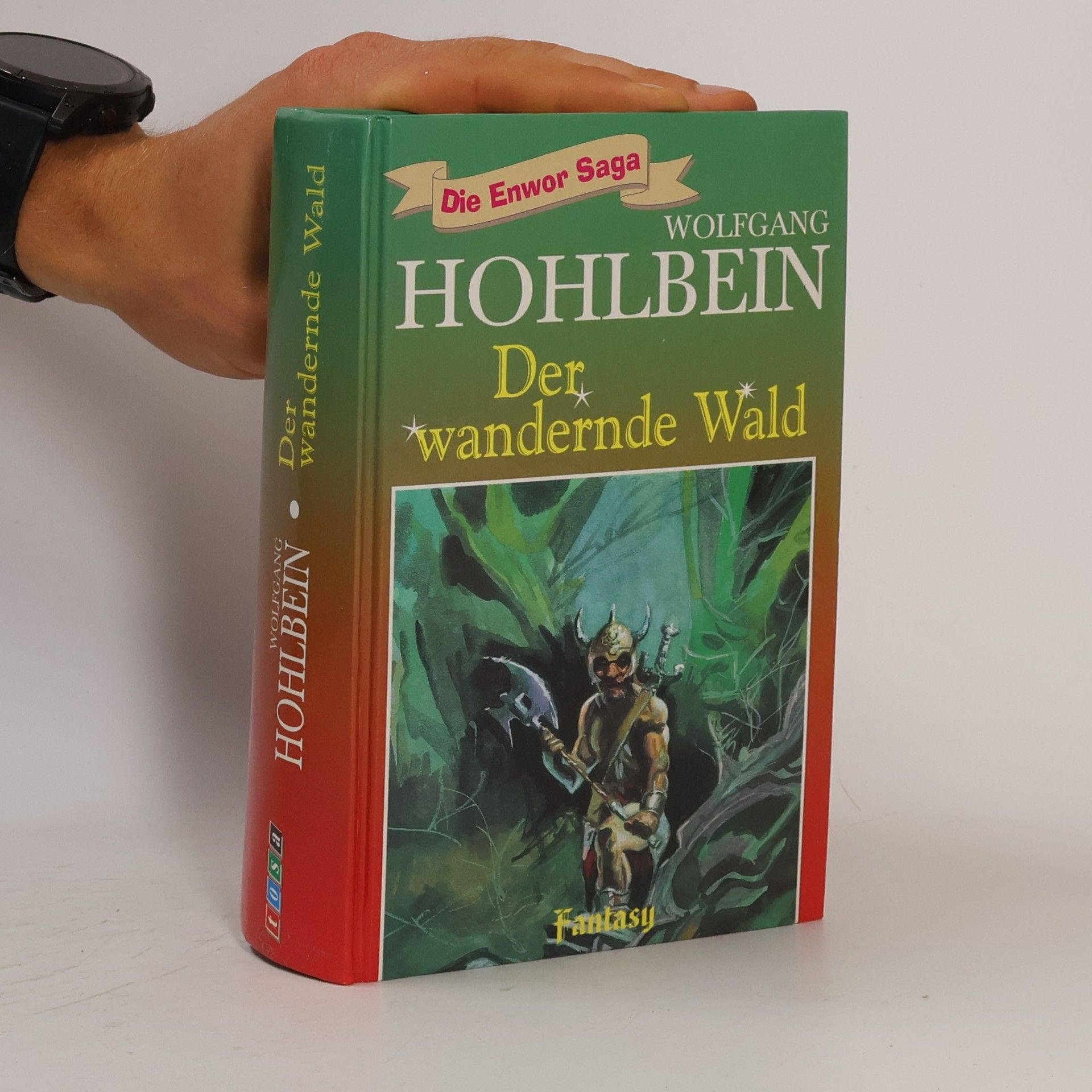 Wolfgang Hohlbein Die Enwor-Saga
