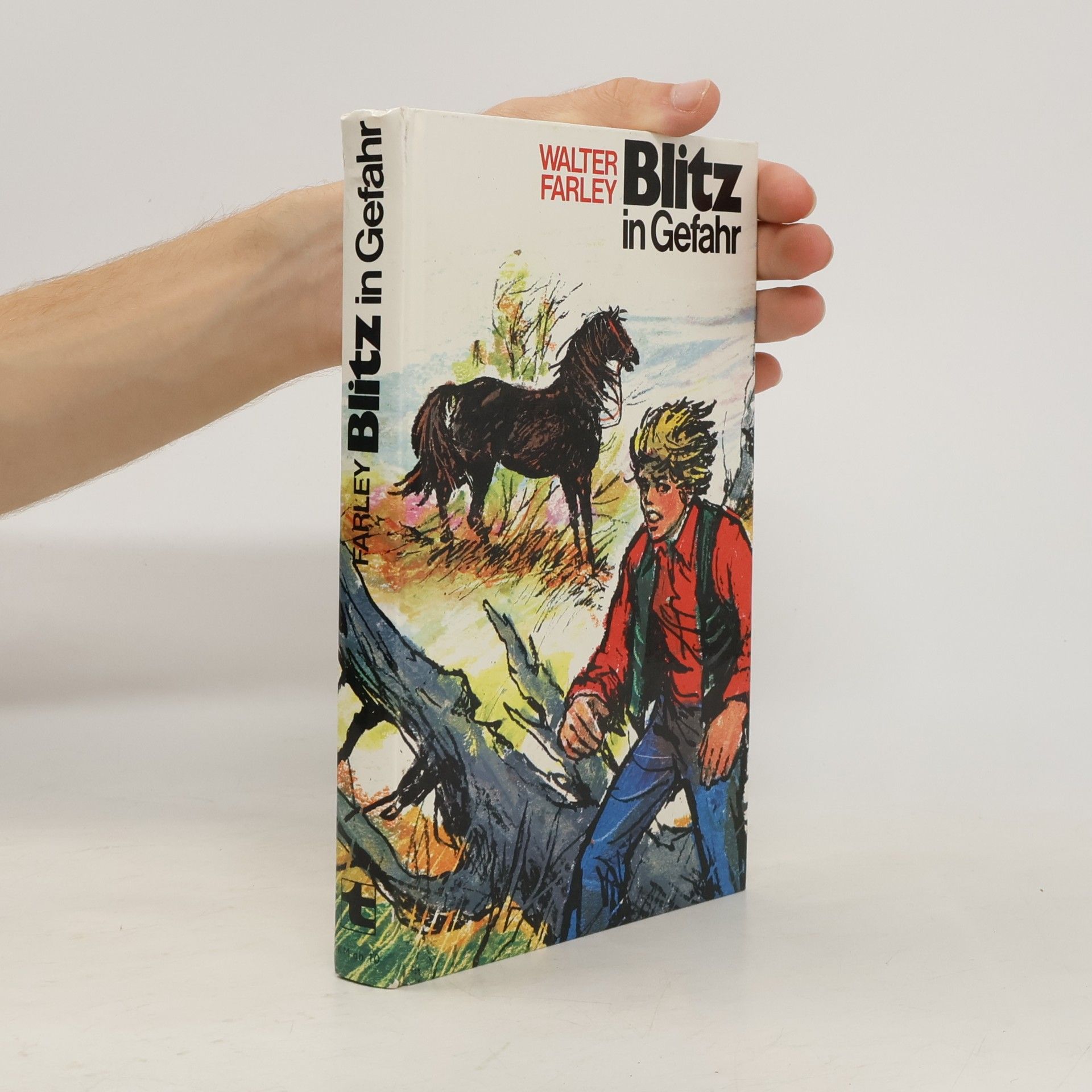 Walter Farley Blitz in Gefahr