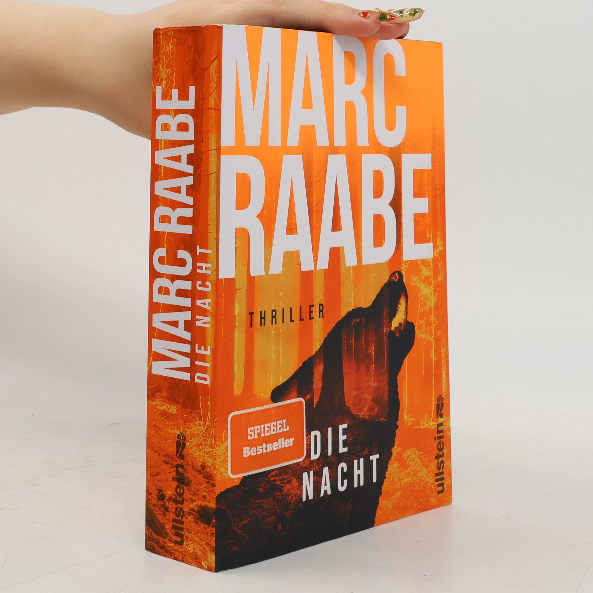 Marc Raabe Die Nacht