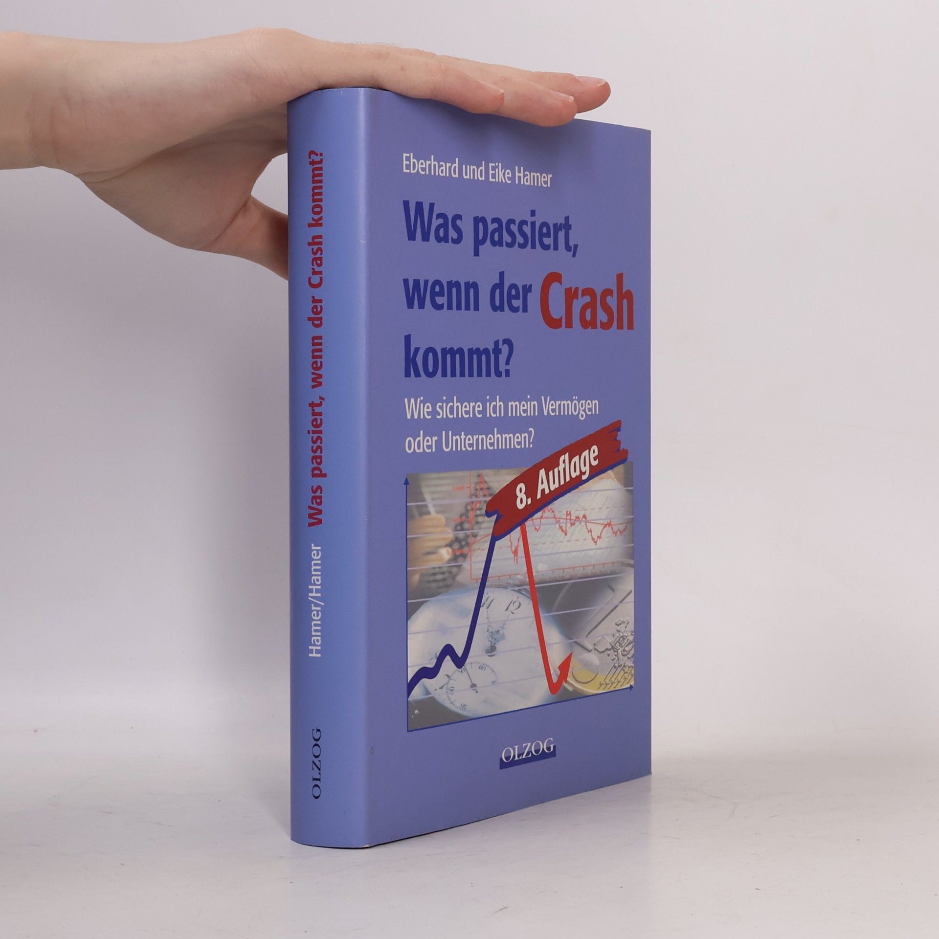 Eike Hamer Was passiert, wenn der Crash kommt? - 8. Auflage