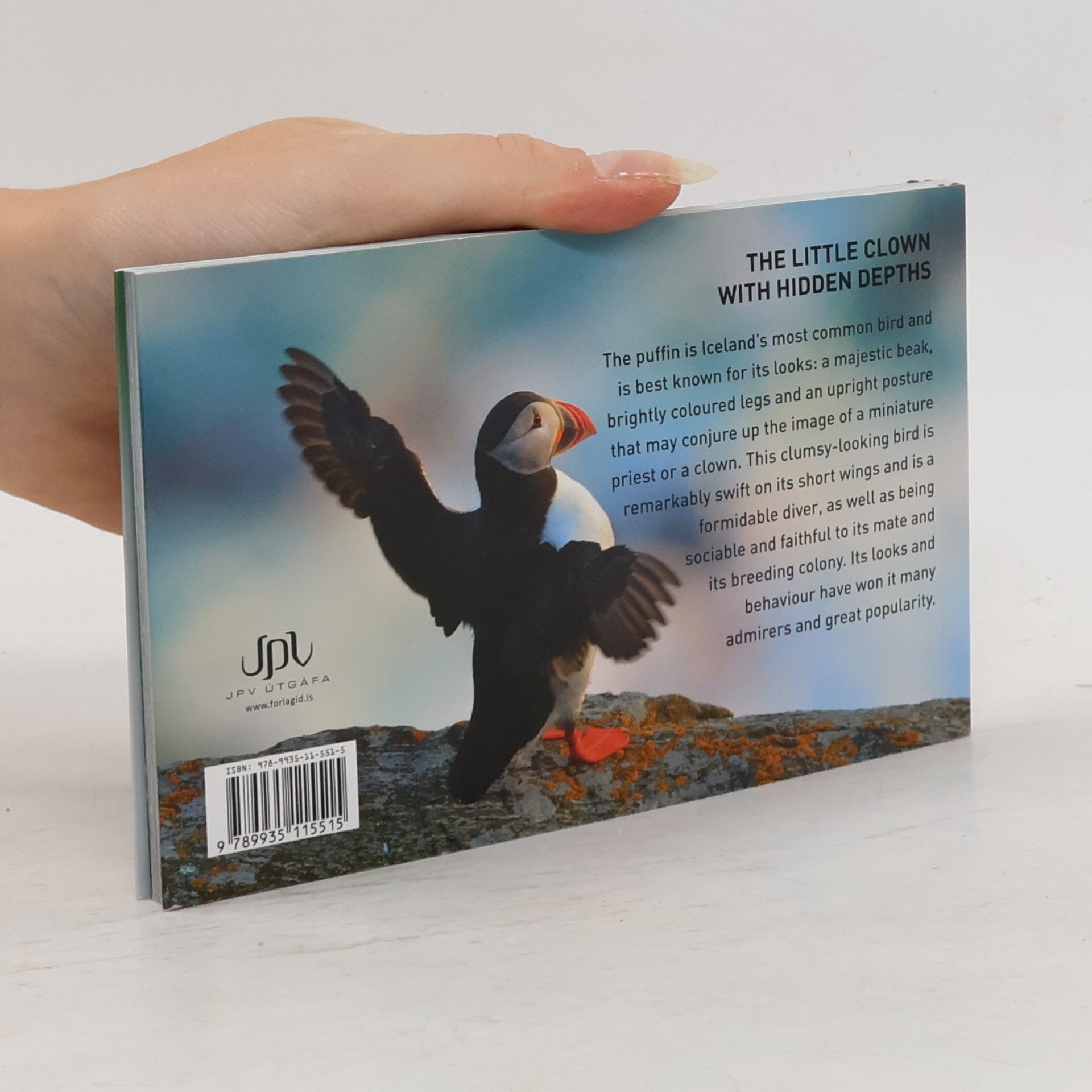 Kolektiv autorů Puffin Stuff
