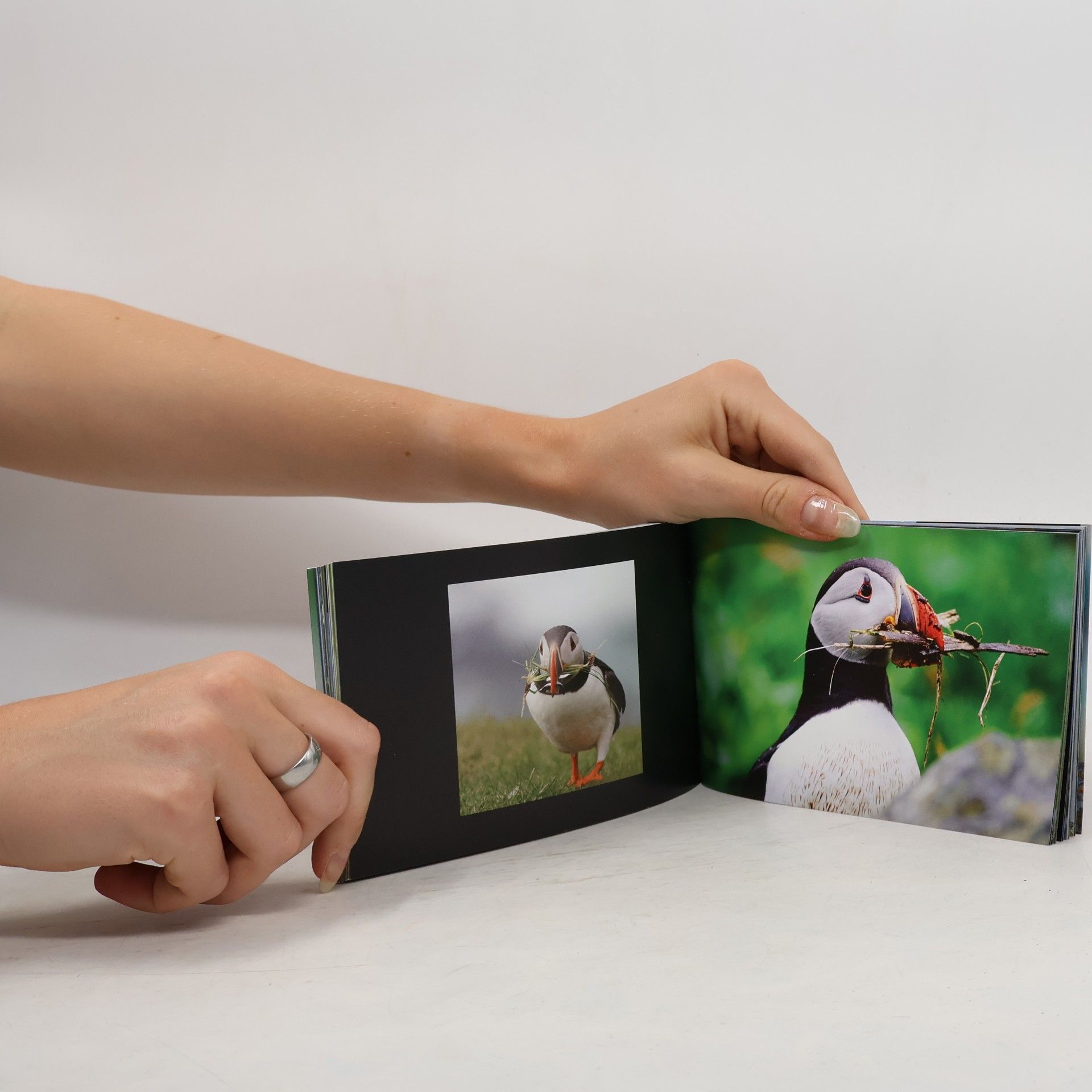 Kolektiv autorů Puffin Stuff