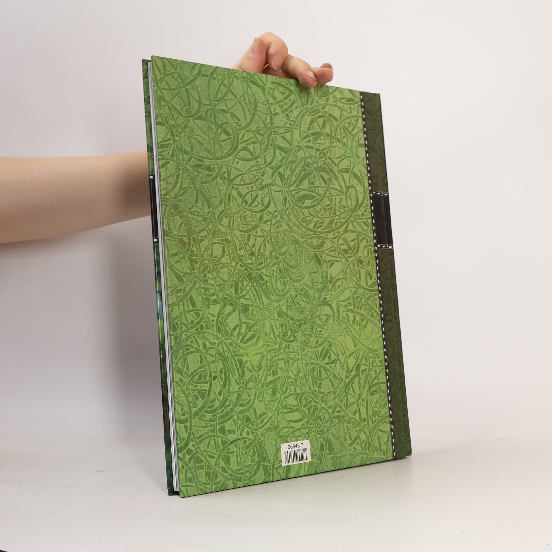 Various authors Verzauberte Welten. Feen und Elfen