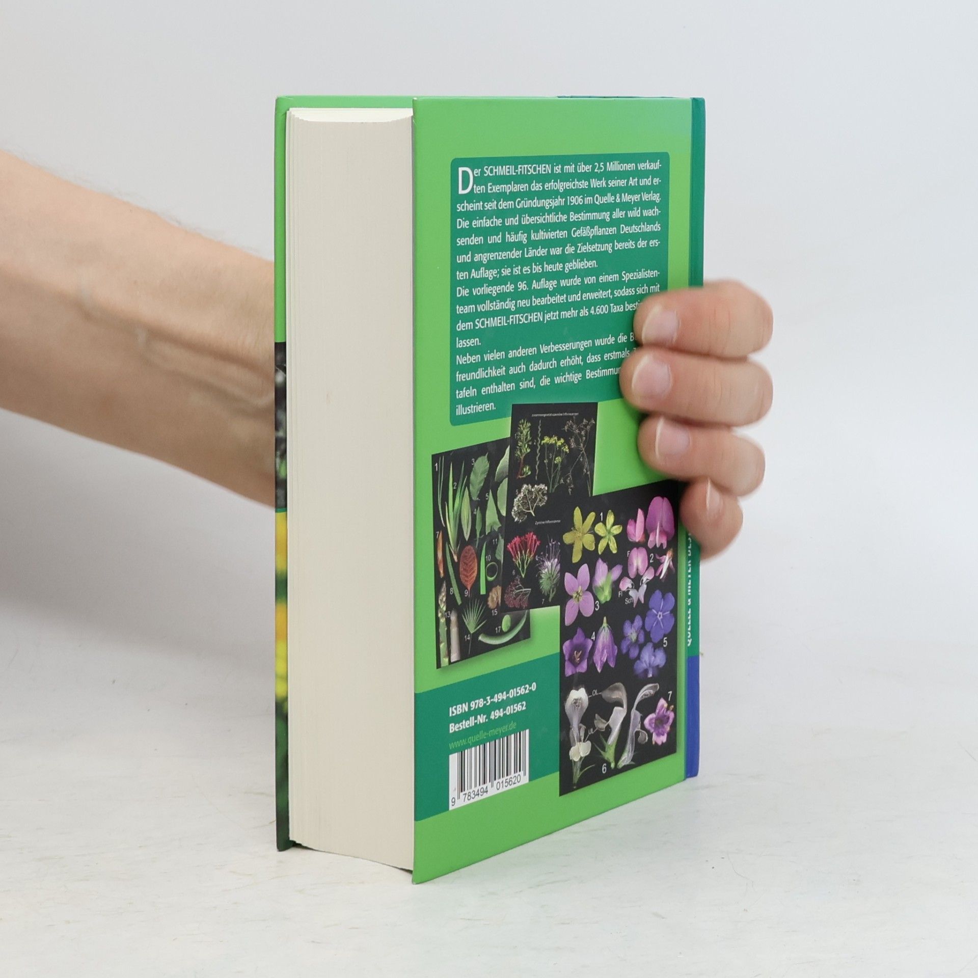 Schmeil - Fitschen SCHMEIL-FITSCHEN Die Flora Deutschlands und angrenzender Länder