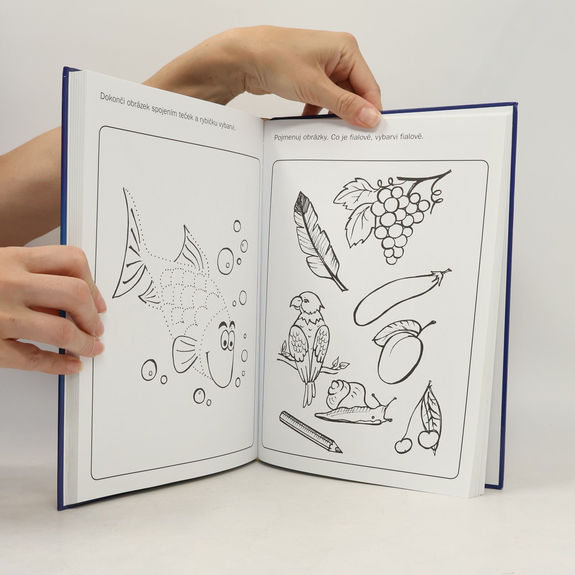Various authors Velká kniha her a úkolů pro kluky a holky