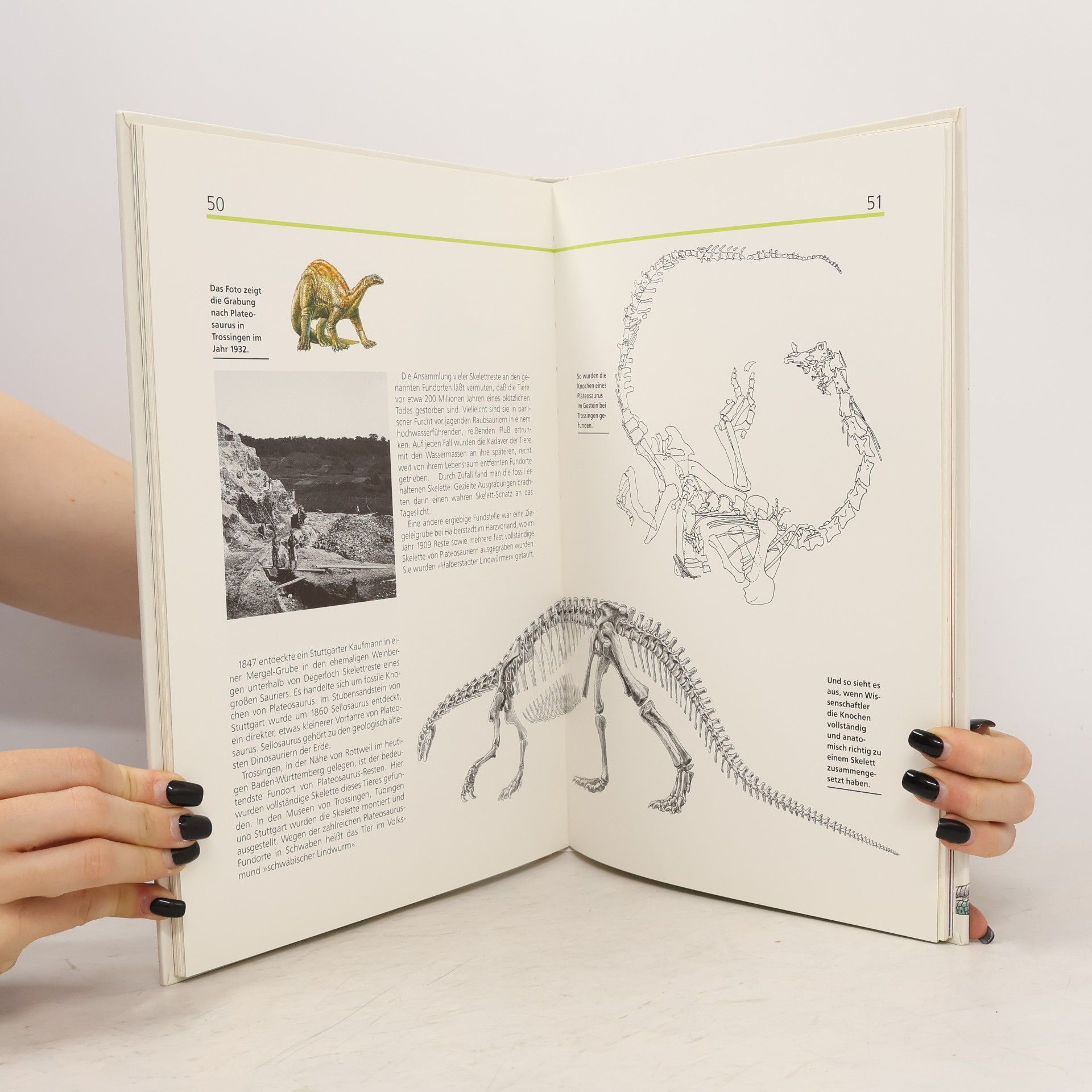 Klaus Peter Creamer Das Kosmosbuch der Dinosaurier