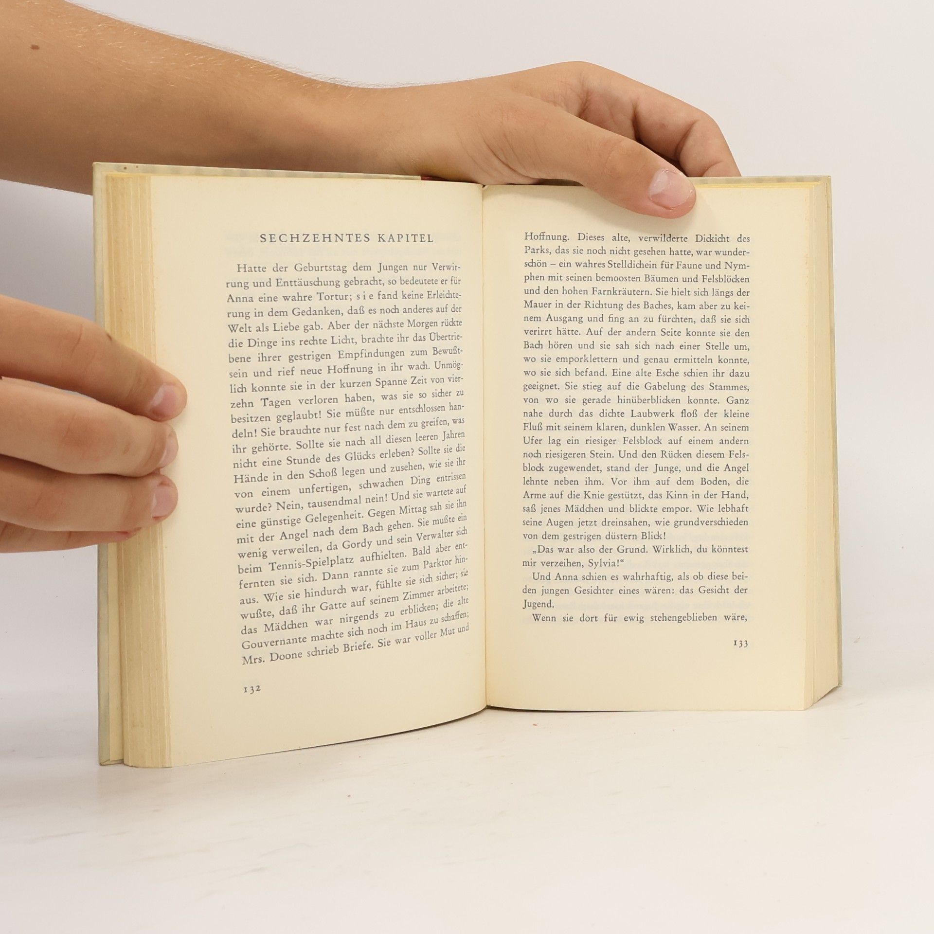 John Galsworthy Die Dunkle Blume