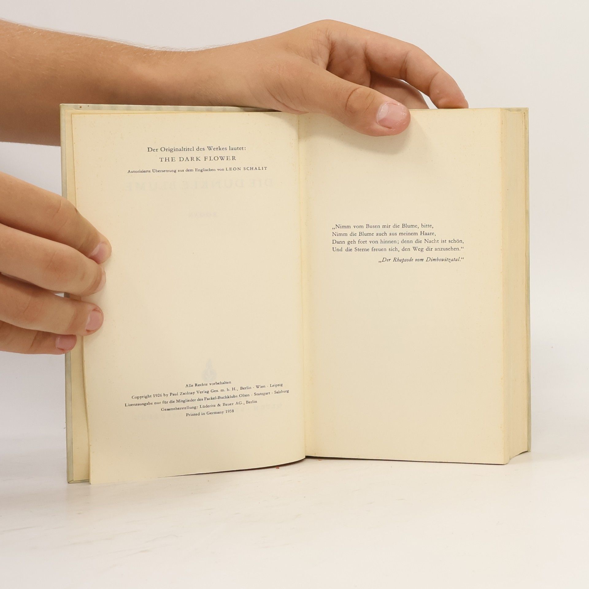 John Galsworthy Die Dunkle Blume